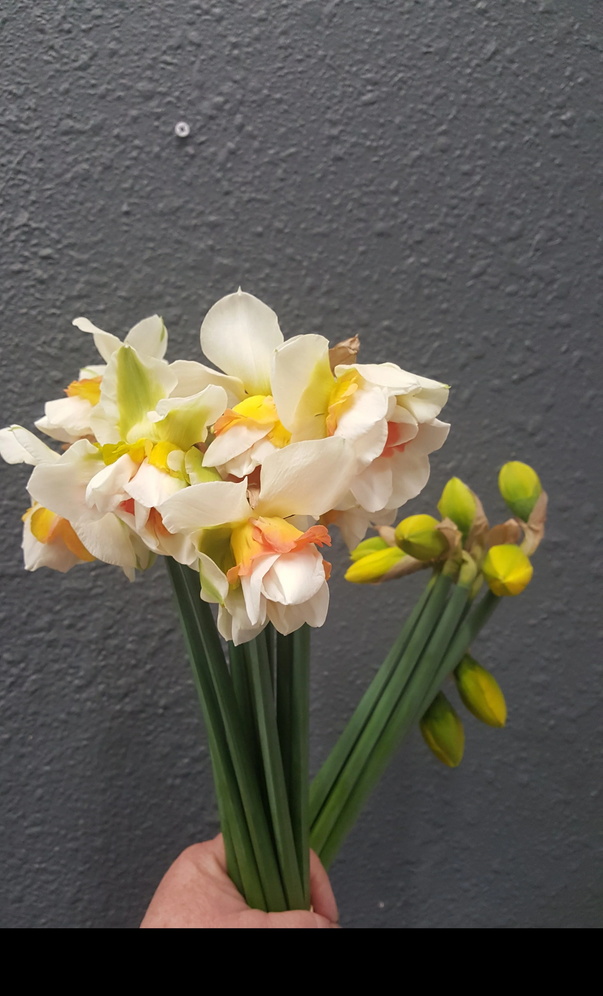 These flowers were planted and grown less than ten minutes from Clatskanie Floral. When your florist is also the flower farmer, that’s fresh.
