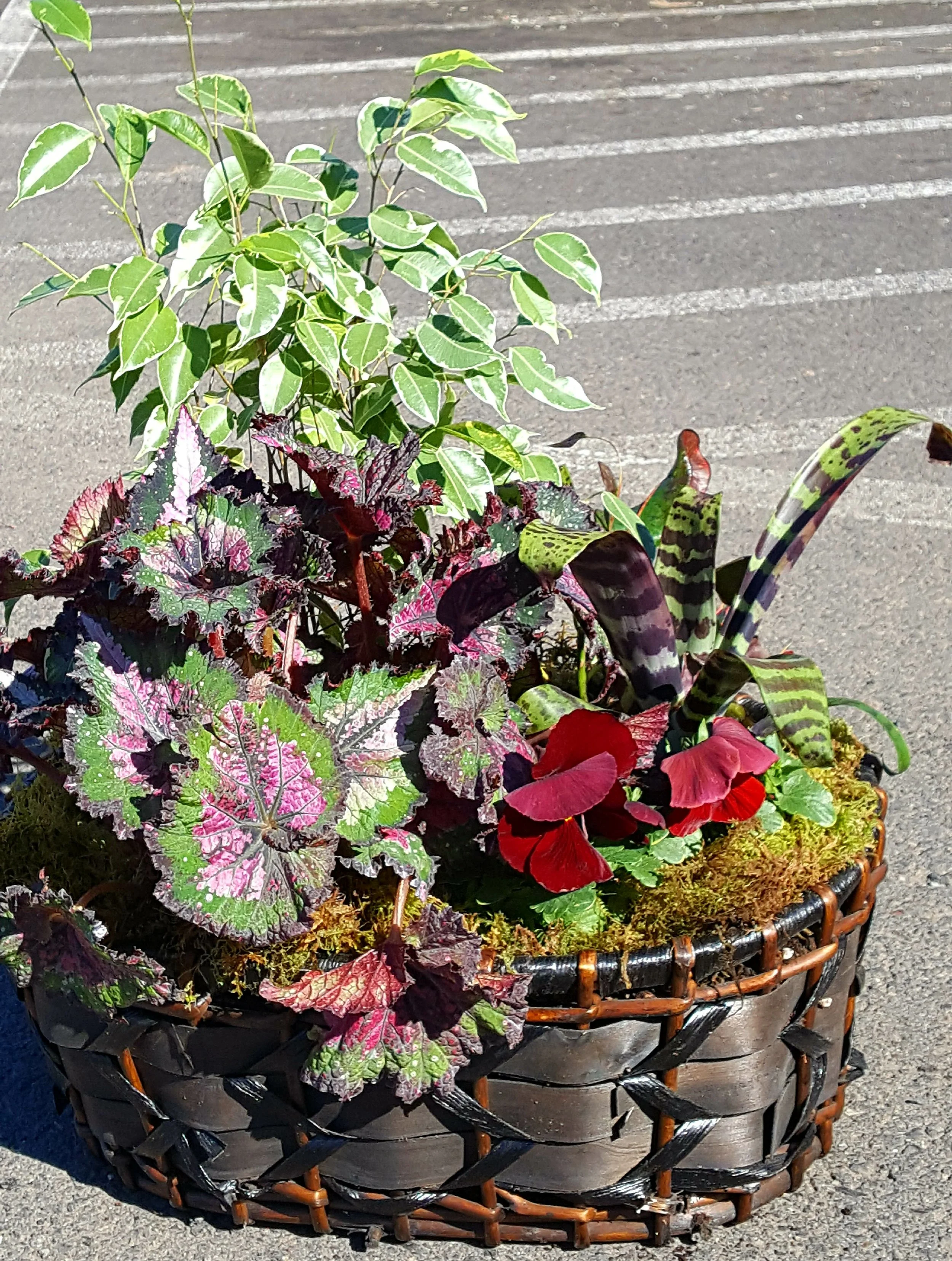 20180306_123750.jpg