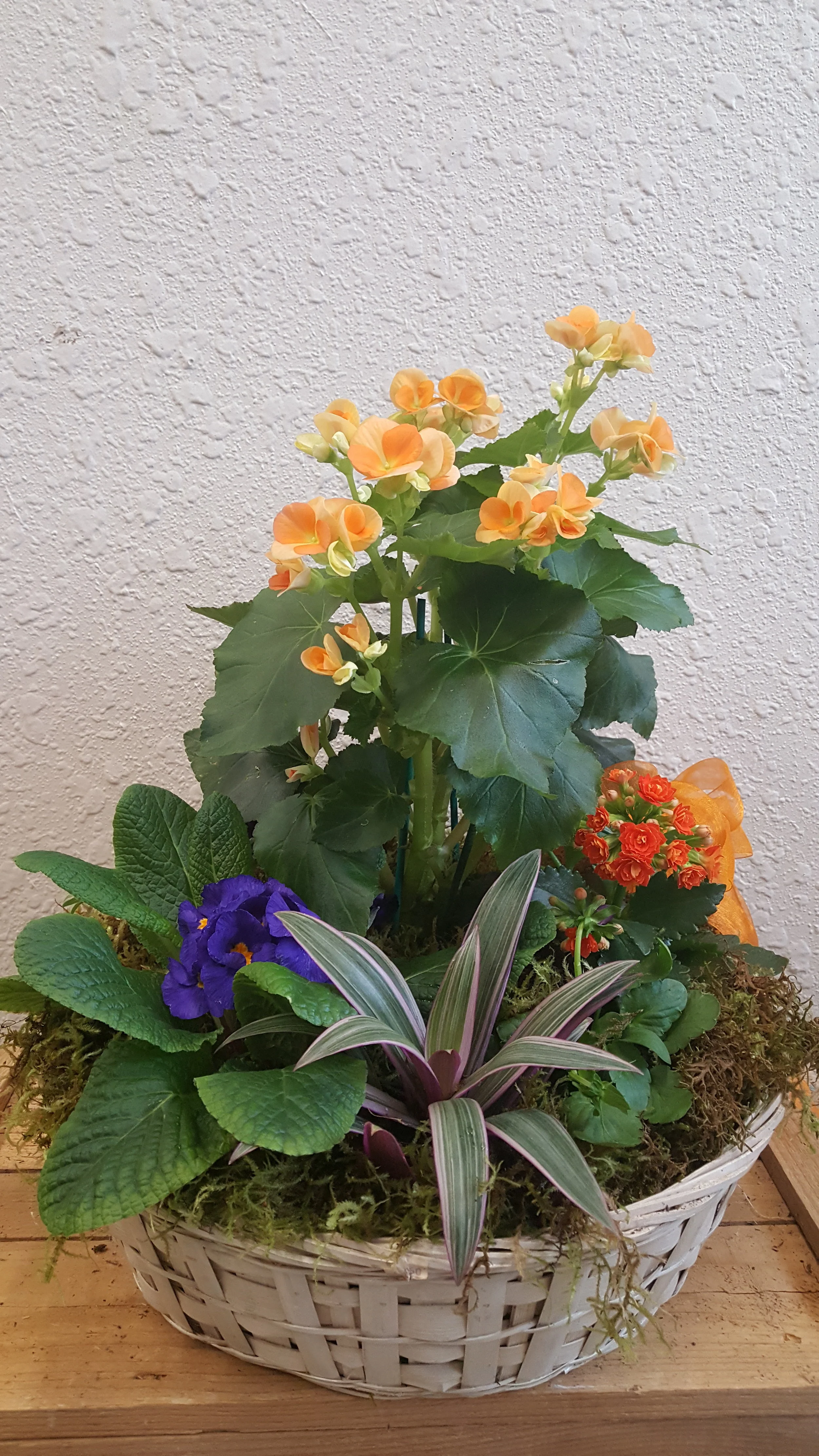 20180316_113656.jpg