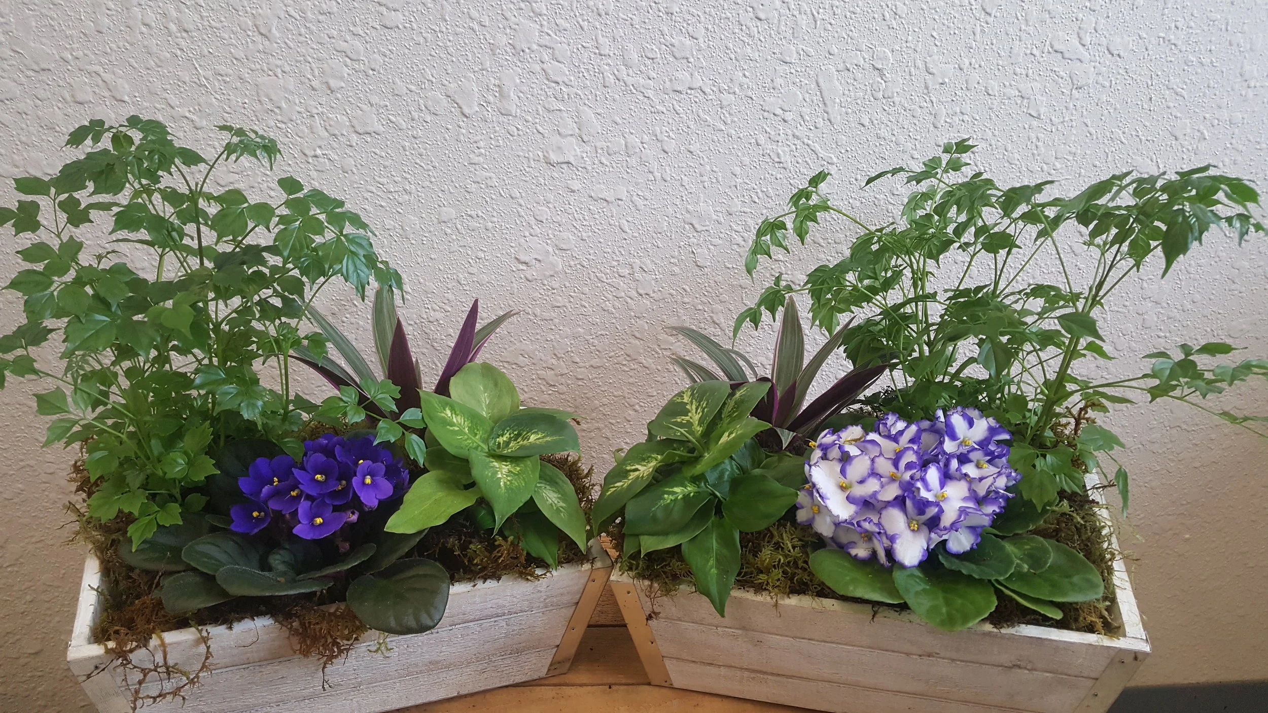 20180323_114246.jpg