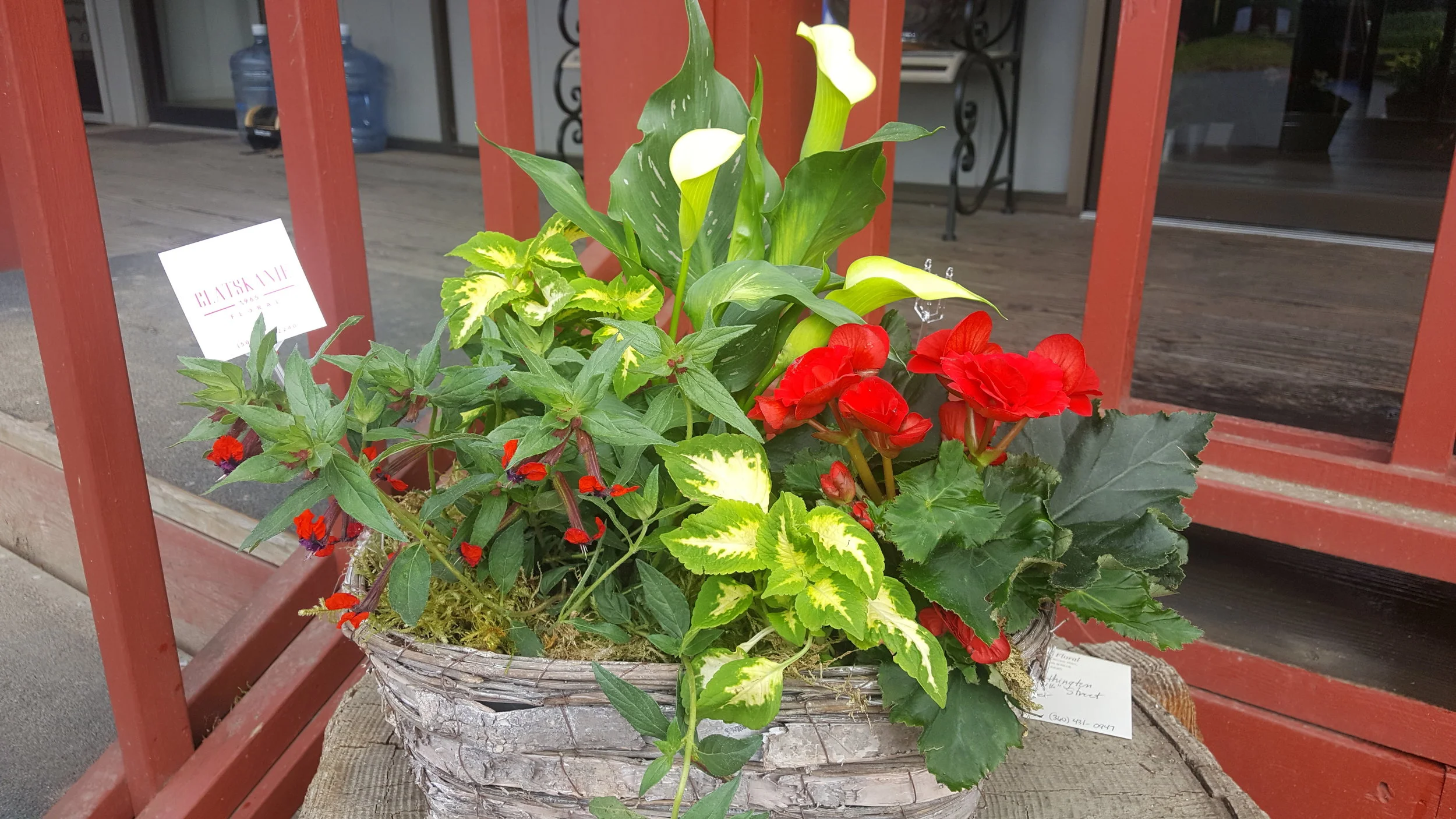 20180601_170905.jpg