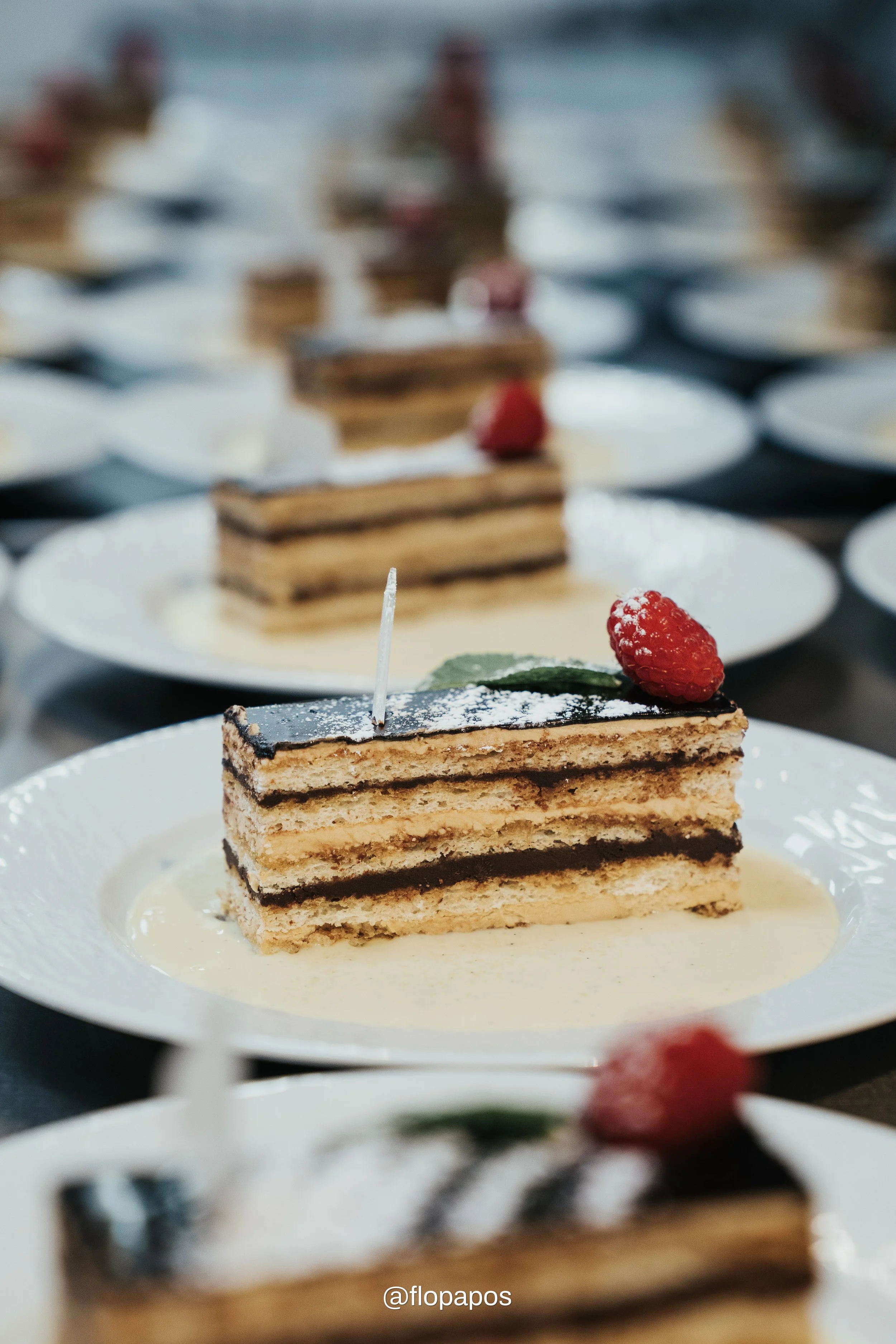 ComeToLux_Opera_Charity_Dinner31.jpg
