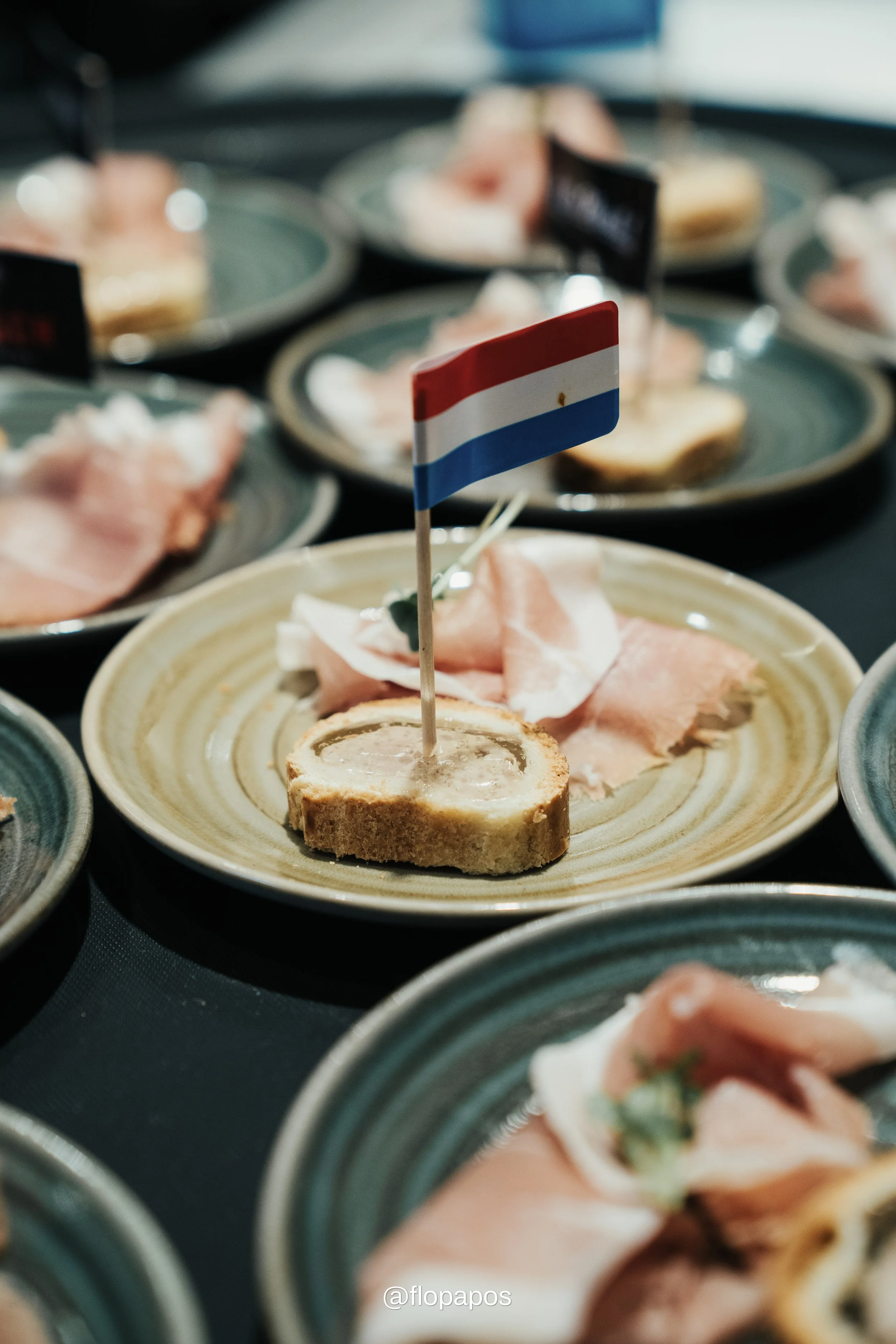 ComeToLux_Opera_Charity_Dinner13.jpg