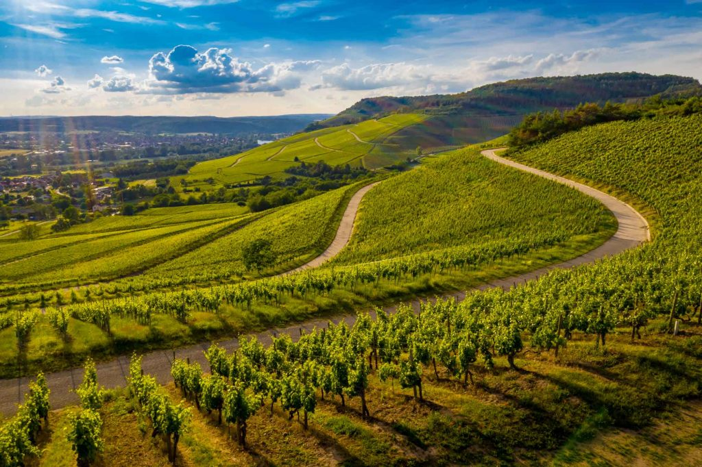 bourgogne 2026 samedi routes des grands crus.png