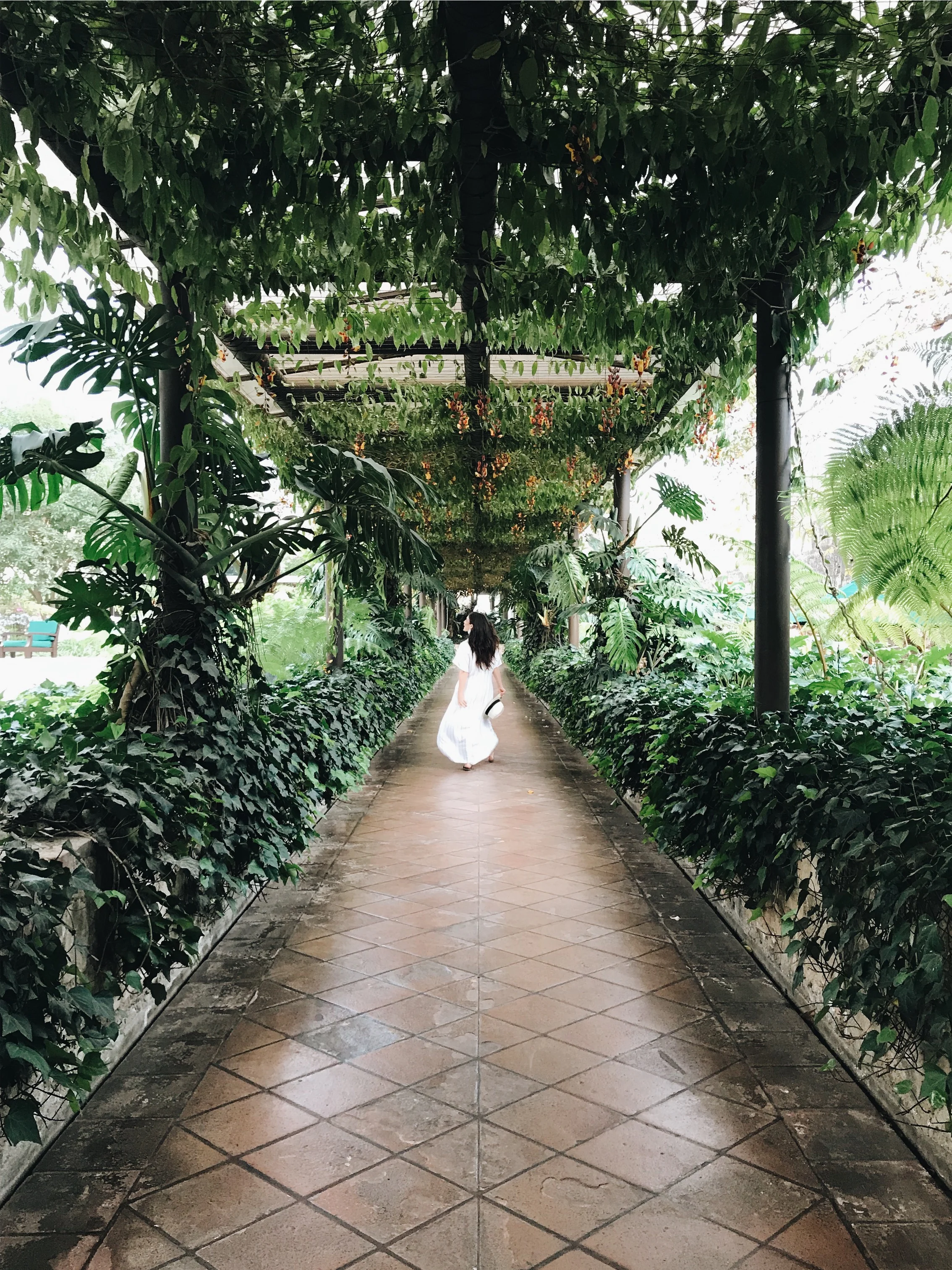 Our Guide to Antigua