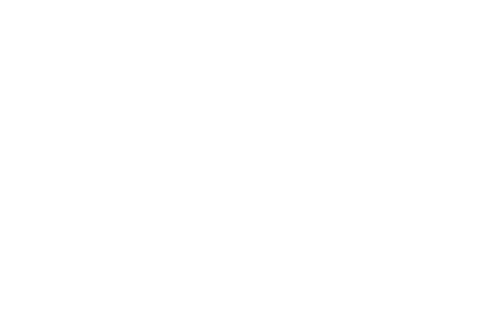 BEST+DOCUMENTARY+FEATURE+-+RICHMOND+INTERNATIONAL+FILM+FESTIVAL+-+2020.png.webp