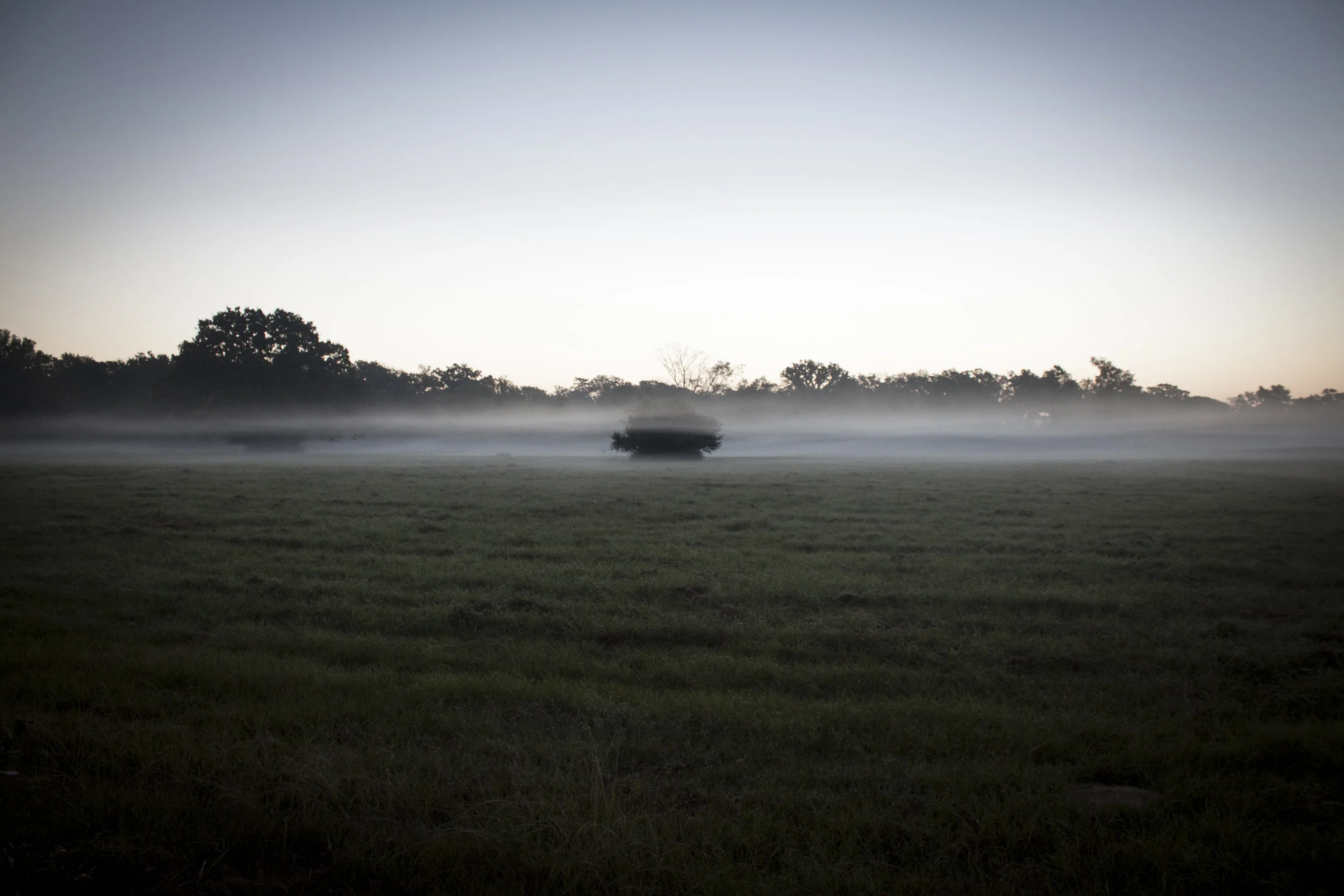 Foggy Field.jpg