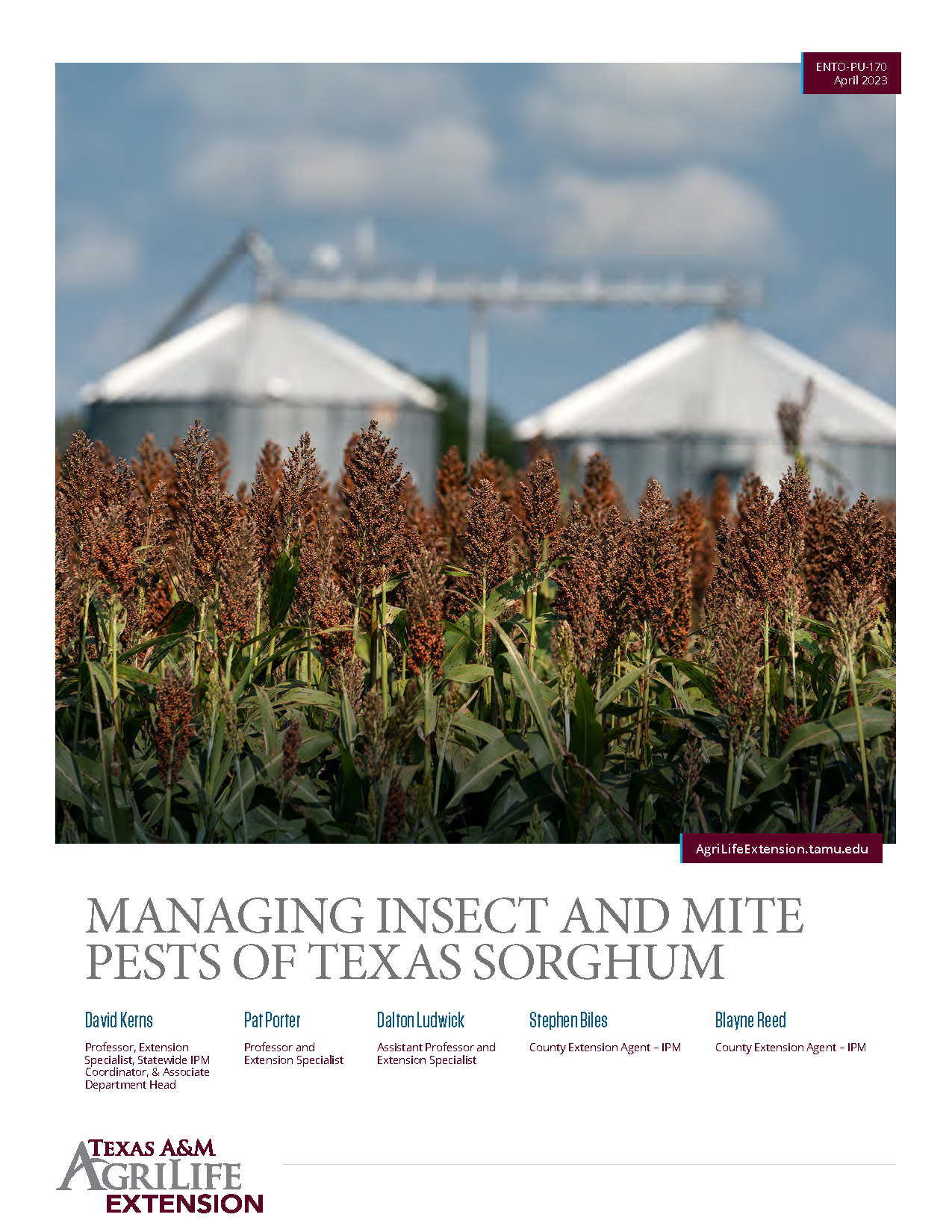 Pages from managing-insect-and-mite-pests-of-texas-sorghum.png