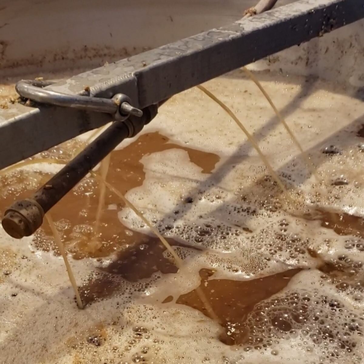 Wish you guys could smell what we are brewing! 😚  #ATasteOfTheLake #GreatSacandagaLake #GSBC #Beer #GreatSacandagaBrewingCompany #LakeLife #Brewing #Brewery #GreatSacandagaBrewing