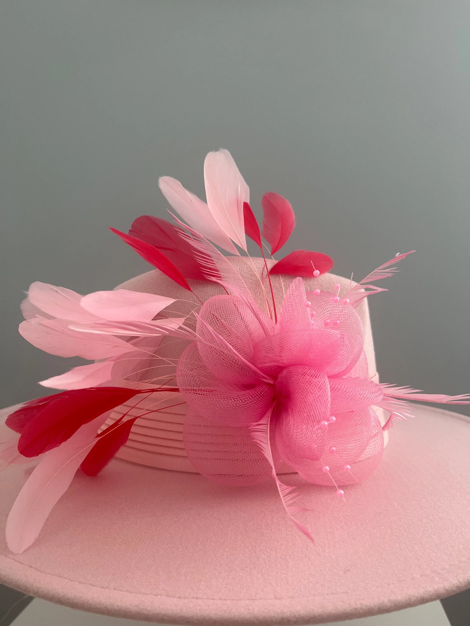 8BE54256-108D-4511-A92B-C20D4CFCB6FE