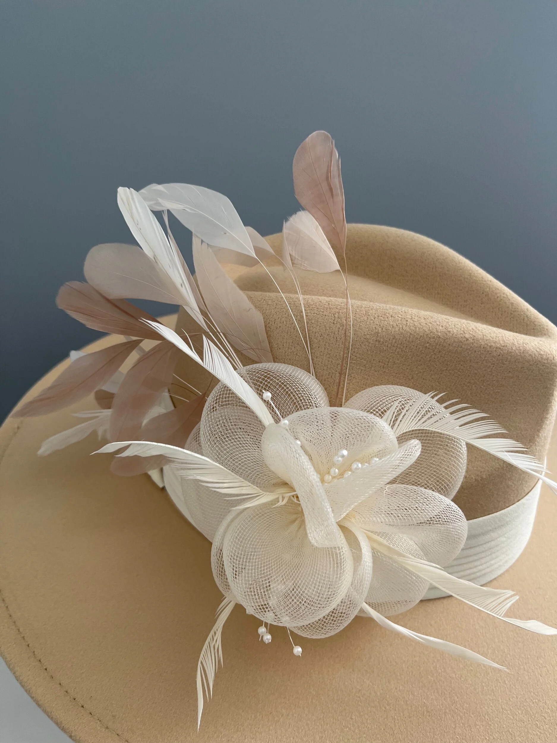 8BDEE52F-9CFD-4394-A0C4-CDC3A70599CA