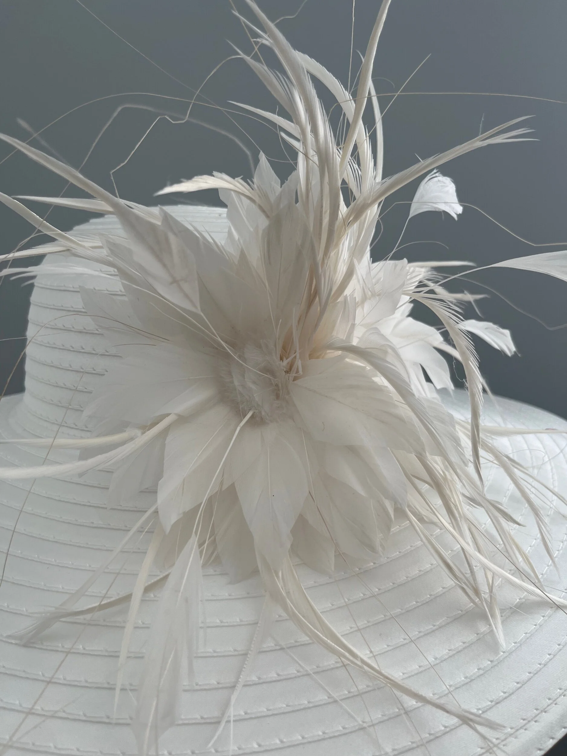 CC397BAB-2FA5-4B53-9AEF-888D6AB12EC5