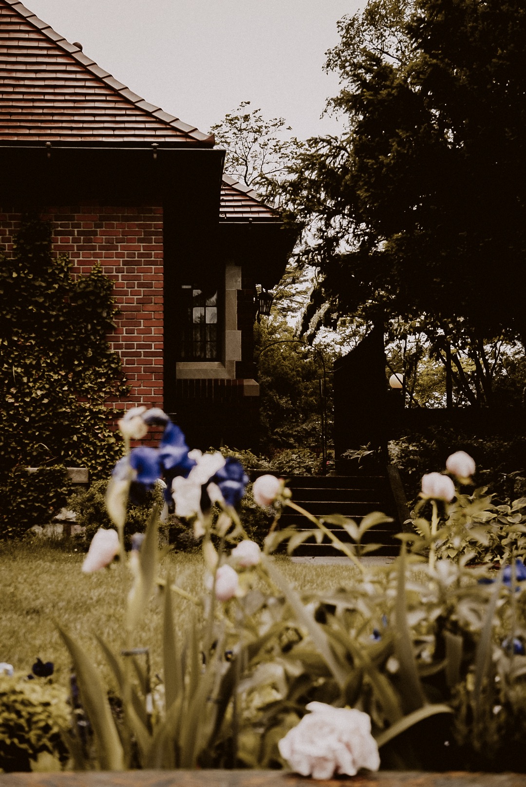 LRG_DSC05842.jpeg