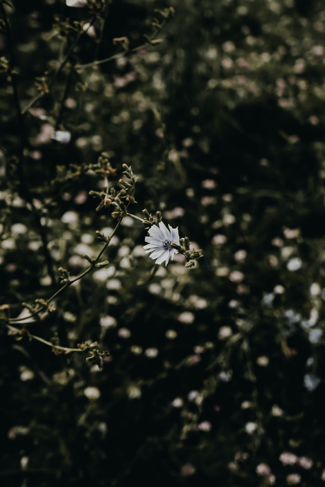 DSC07323.jpeg