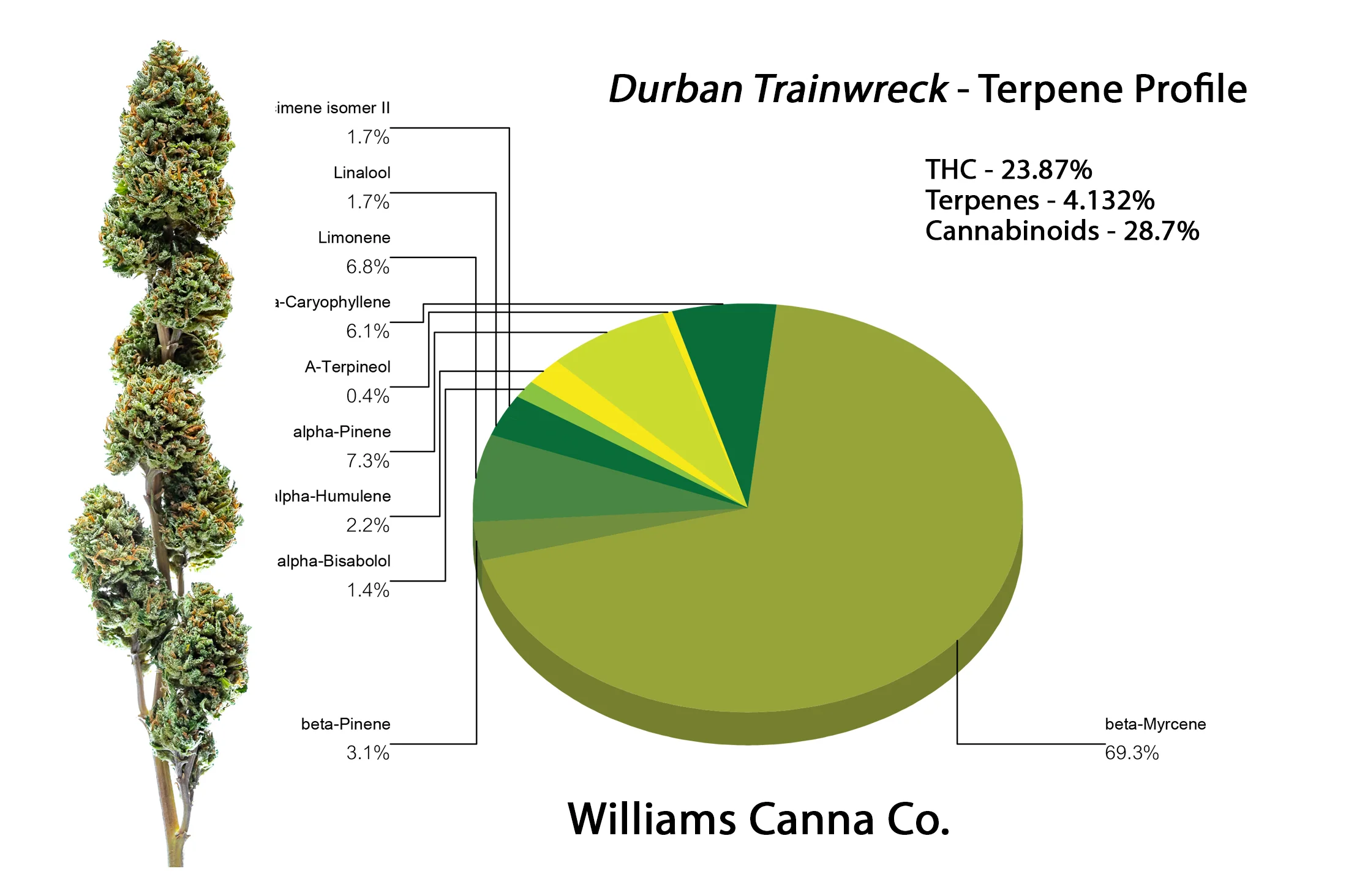 Durban_Trainwreck_Marketing_Materials.jpg