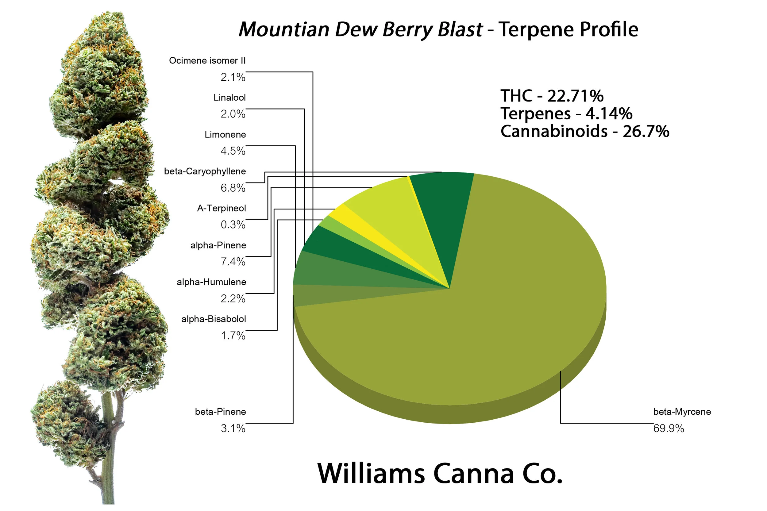 org Mountian Dew Berry Blast_Terpenes.jpg