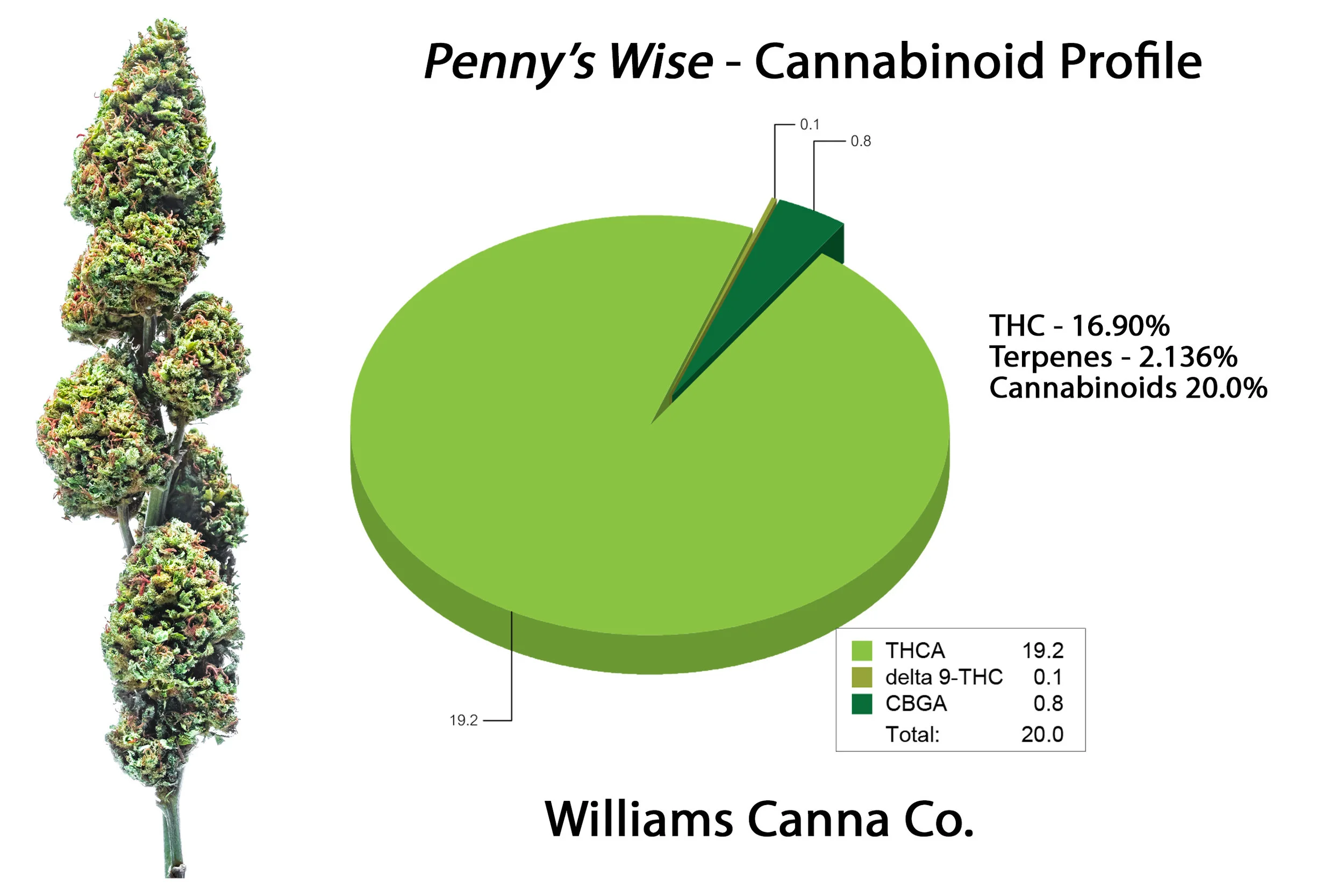 Pennys_wise_Cannabinoids.jpg