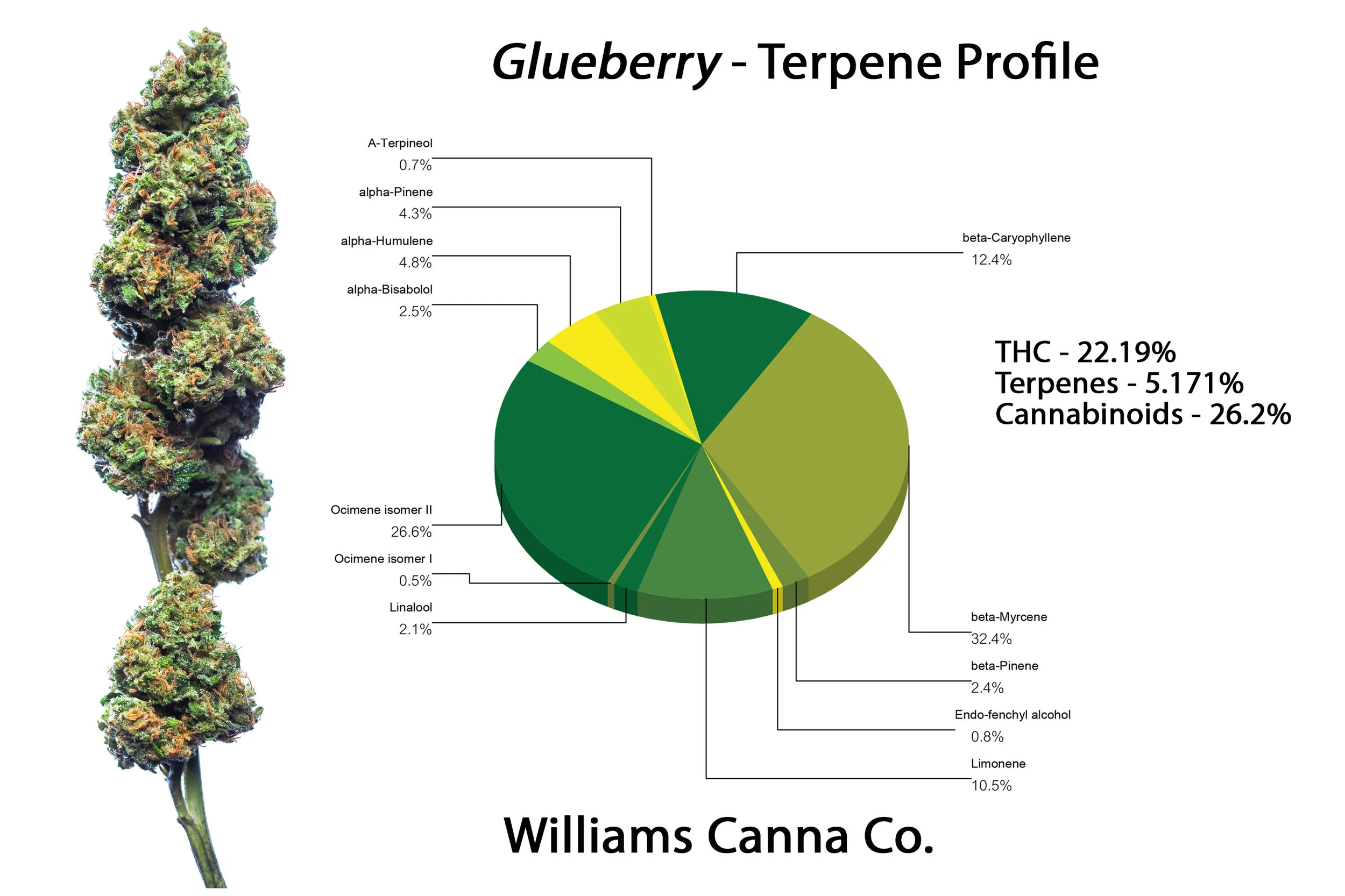 Gluberry_Terpenes.jpg