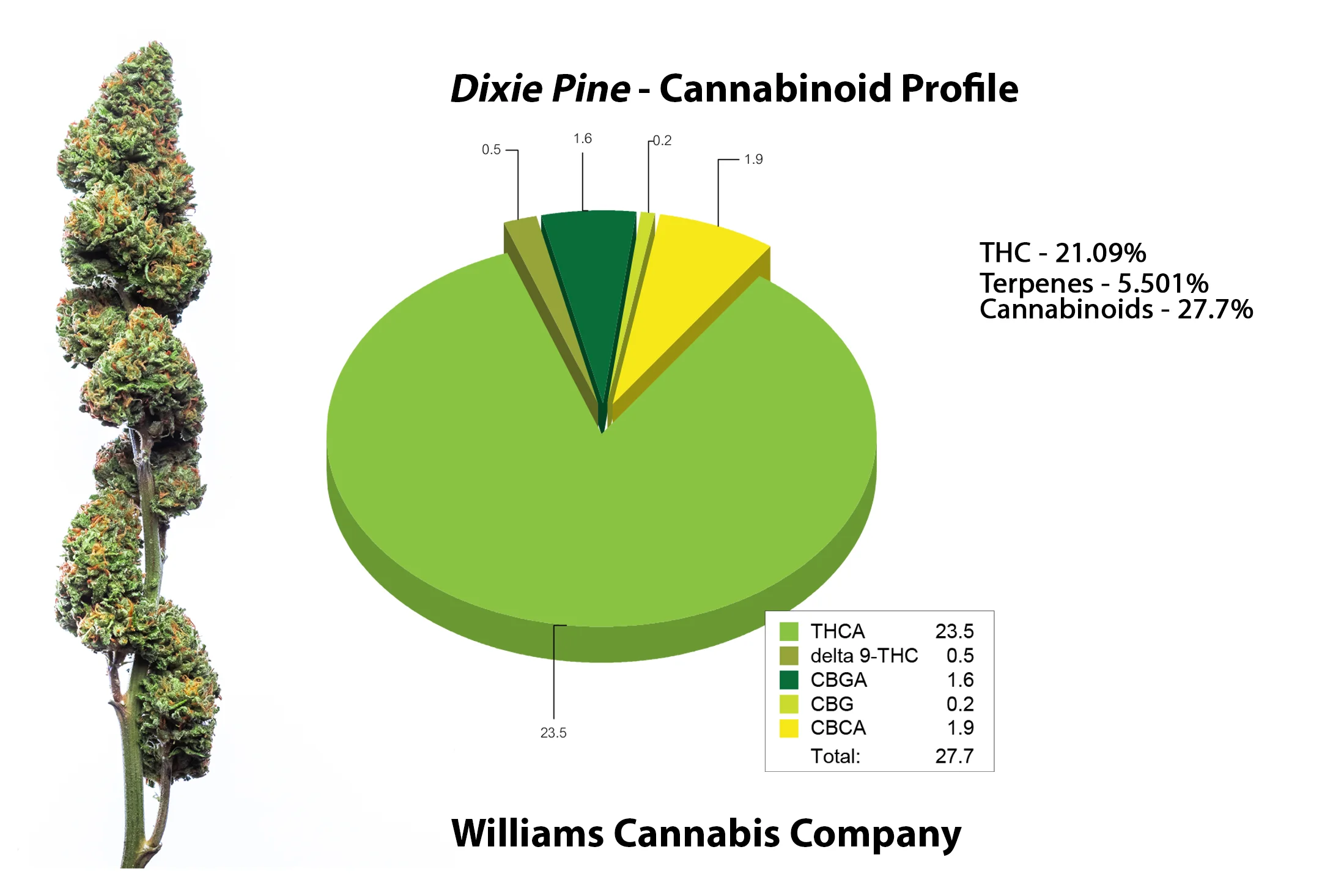 Dixie_Pine_cannabinoid.jpg