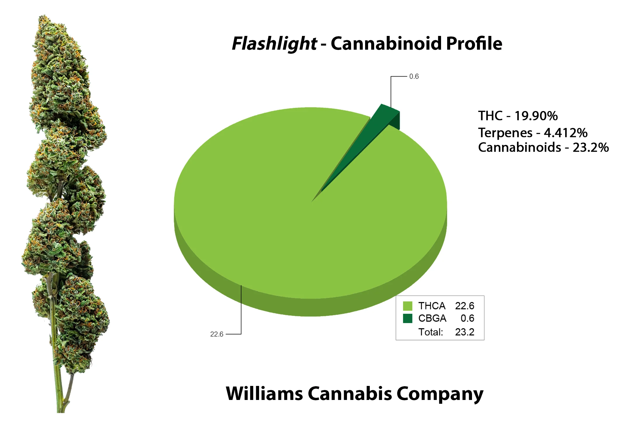 Flashlight_Cannabinoid.jpg