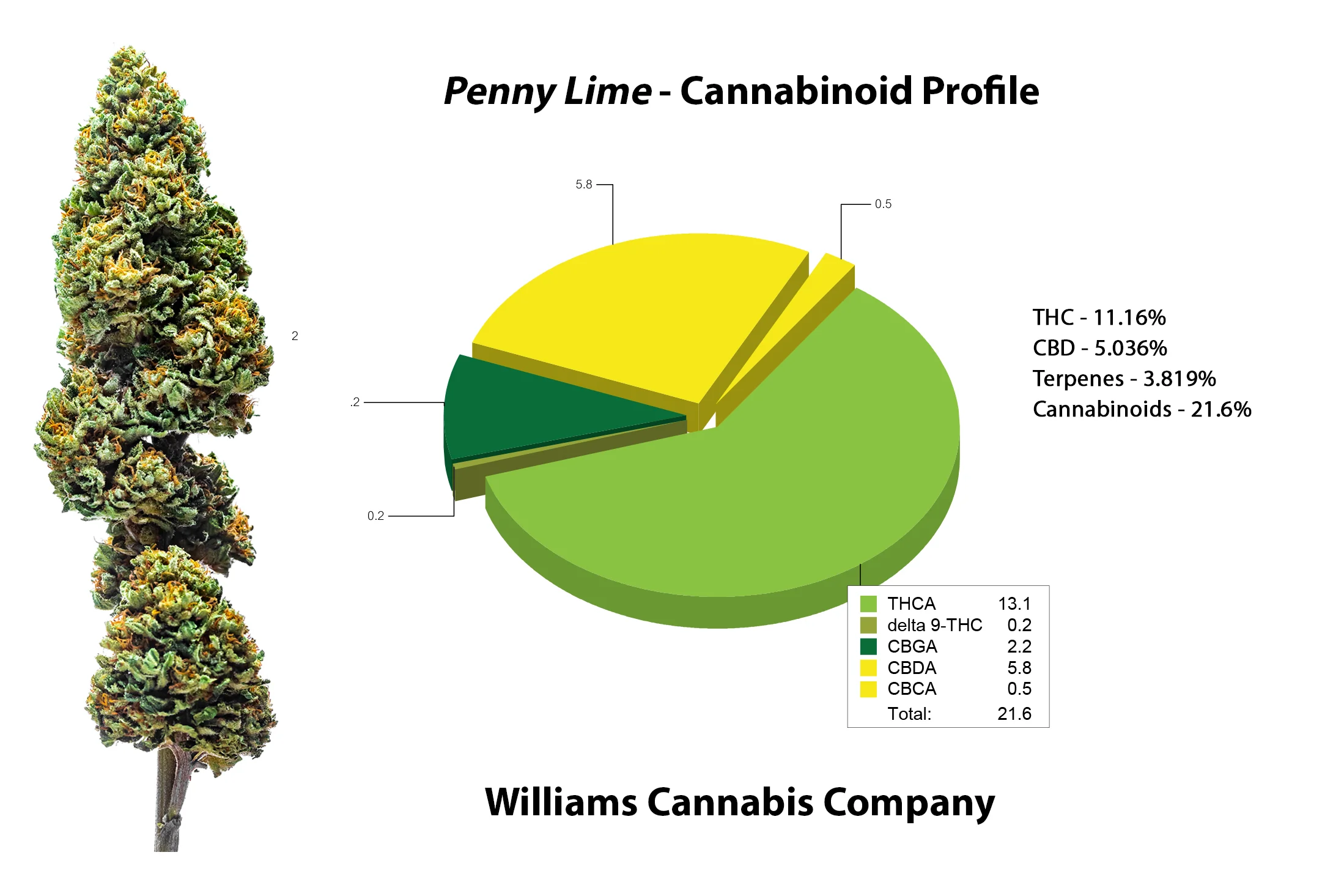Penny_Lime_cannabinoid.jpg
