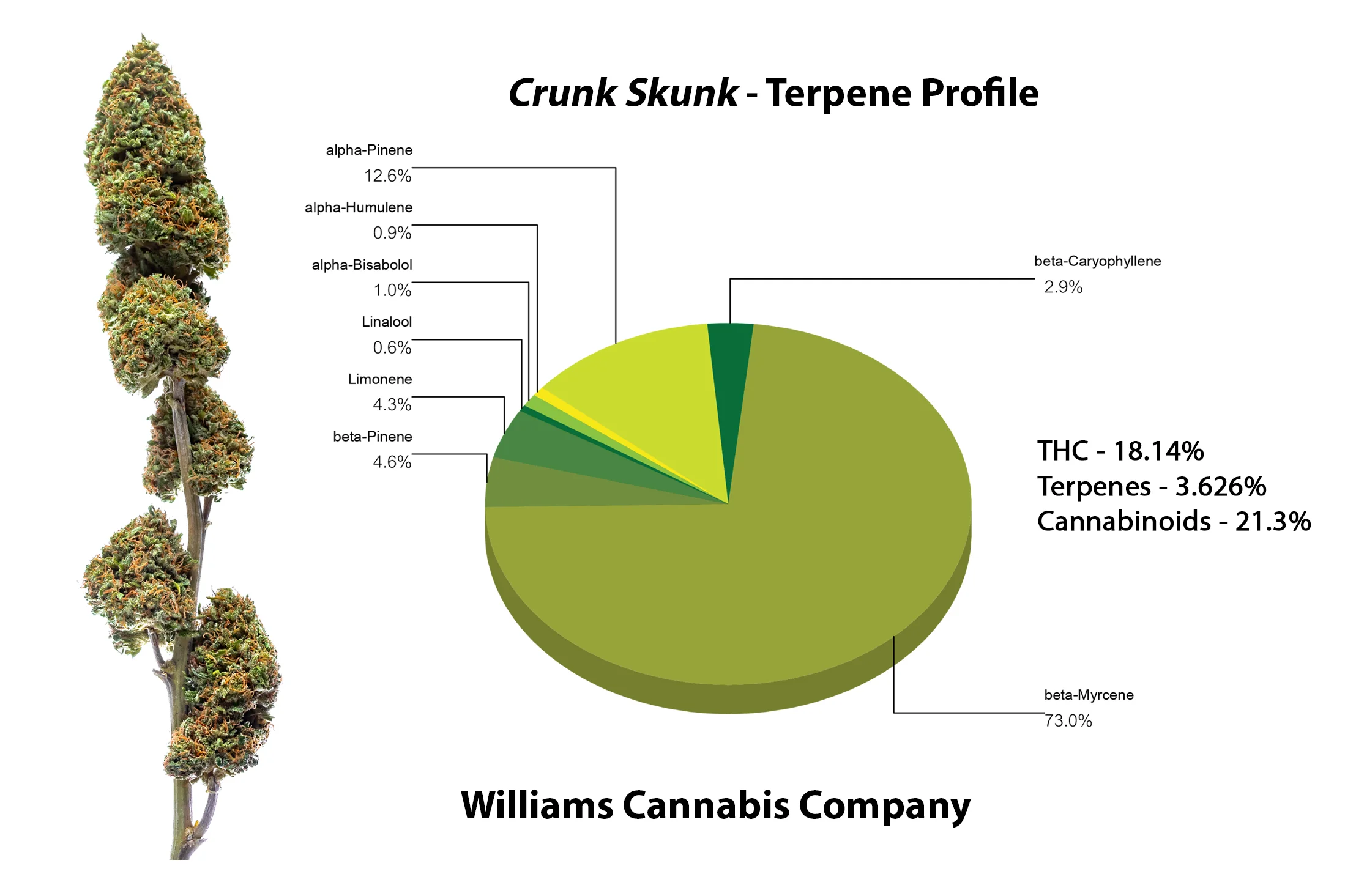 Crunk_Skunk_Marketing_Materials.jpg
