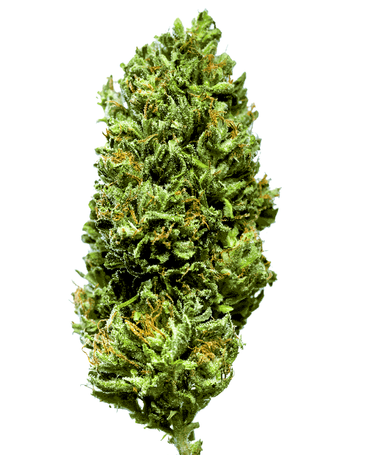 OG_KUSH_900.gif