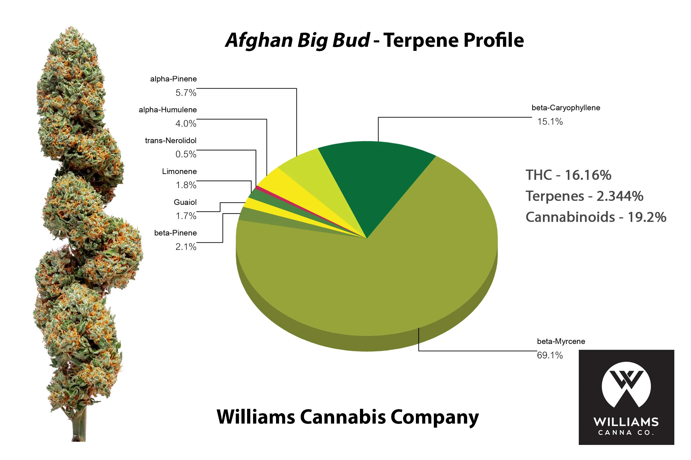 Afghan_Big_bud_TERP.jpg