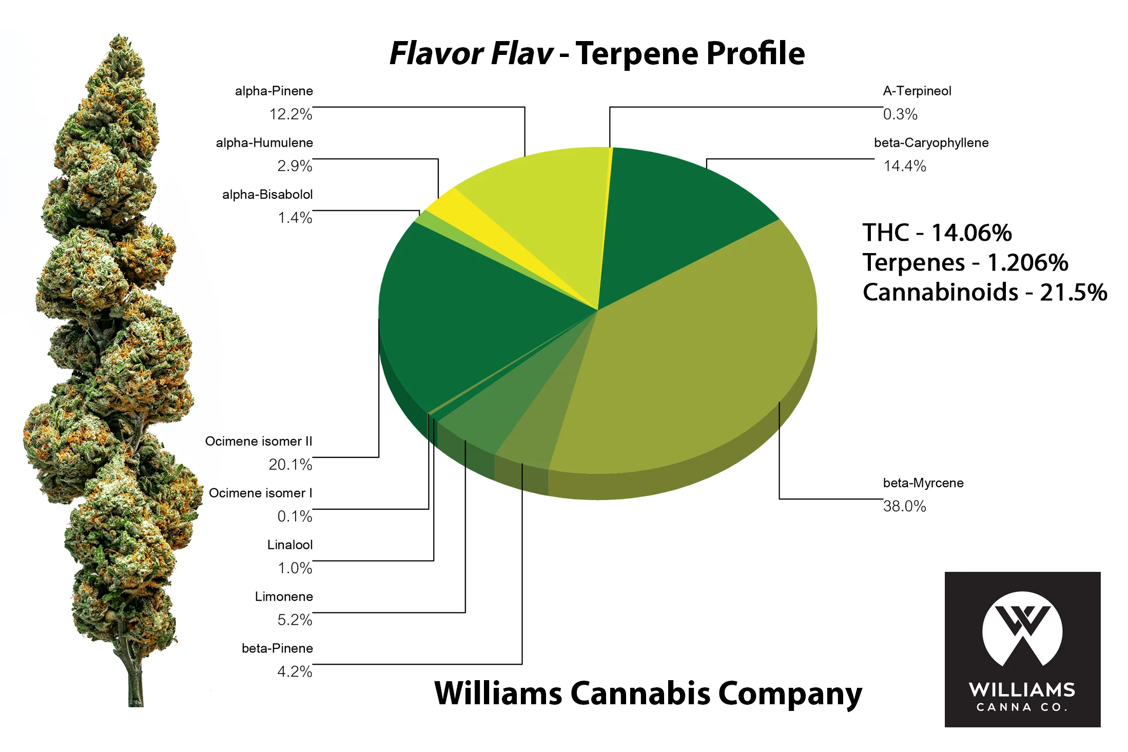 Flavor_Flav_TERP.jpg