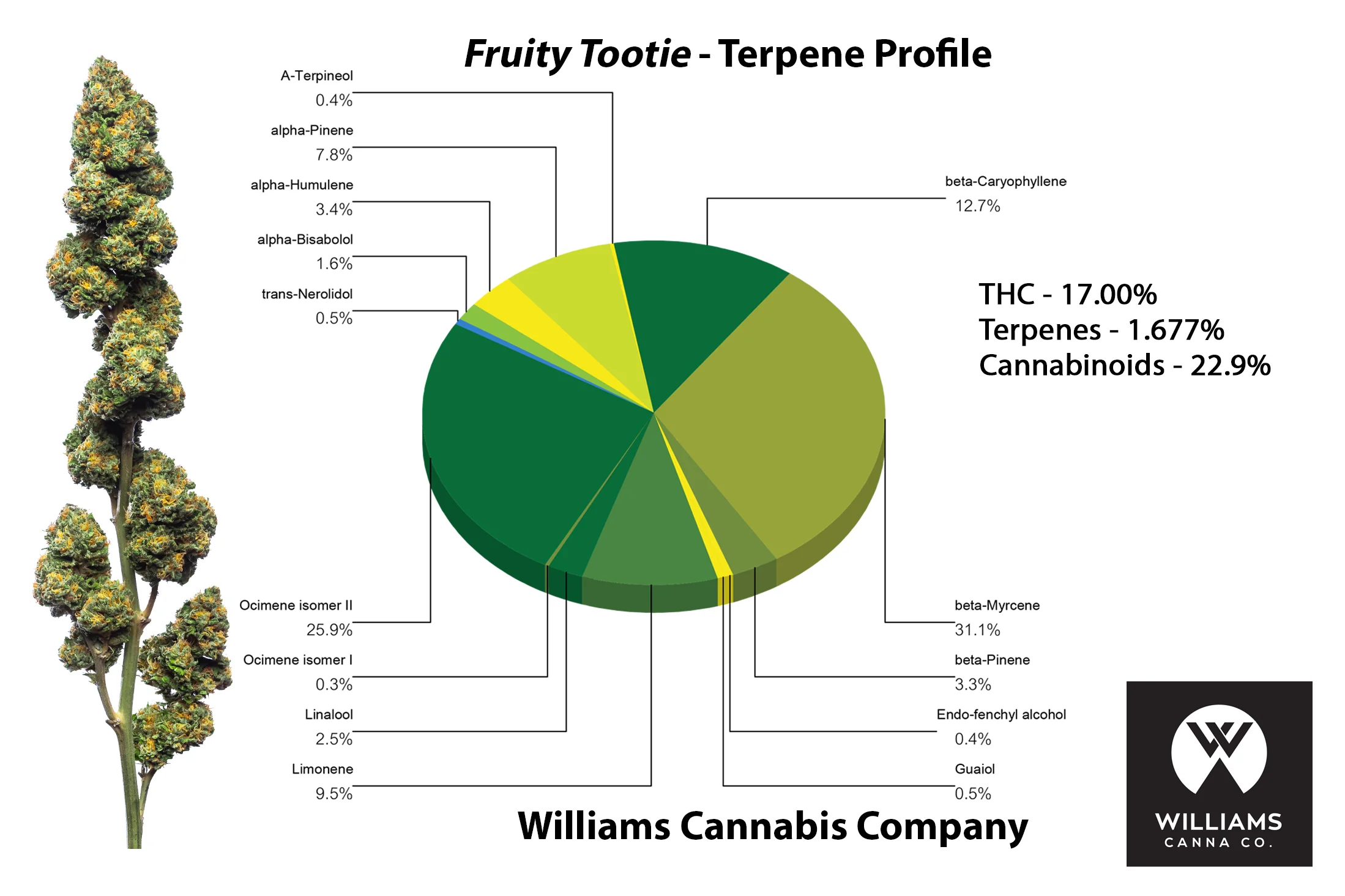 Fruity_tootie_TERP.jpg