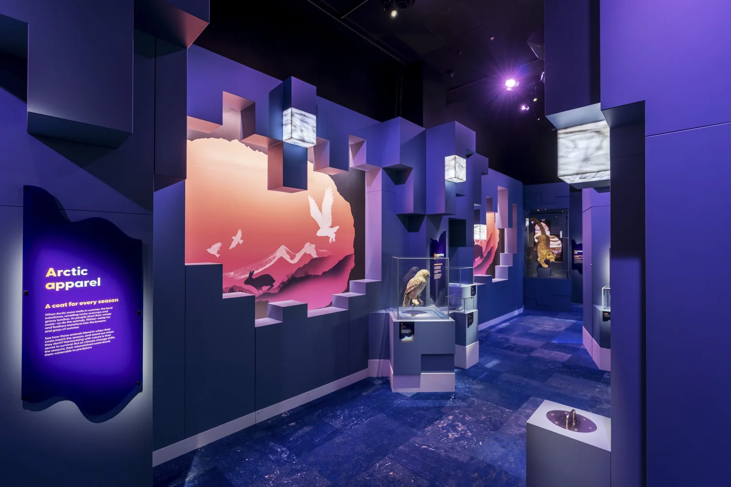 Museum exhibition