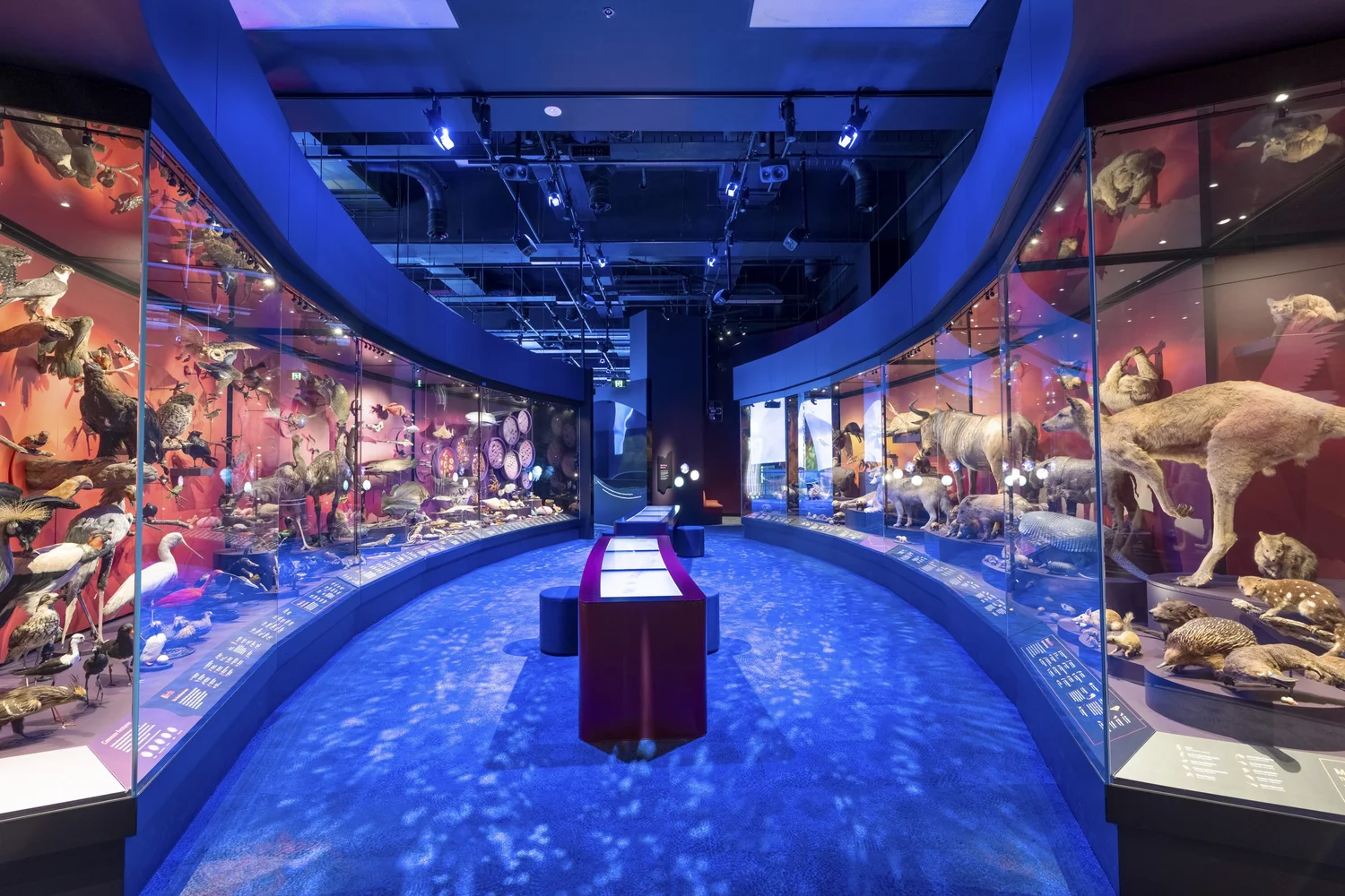 Museum exhibition