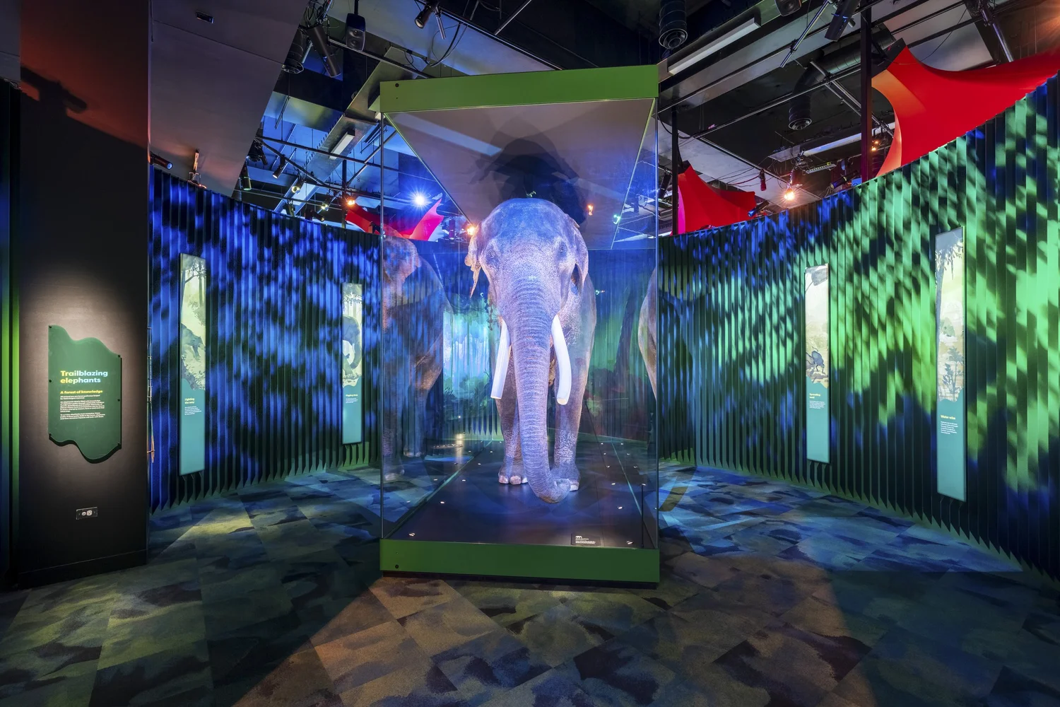 Museum exhibition