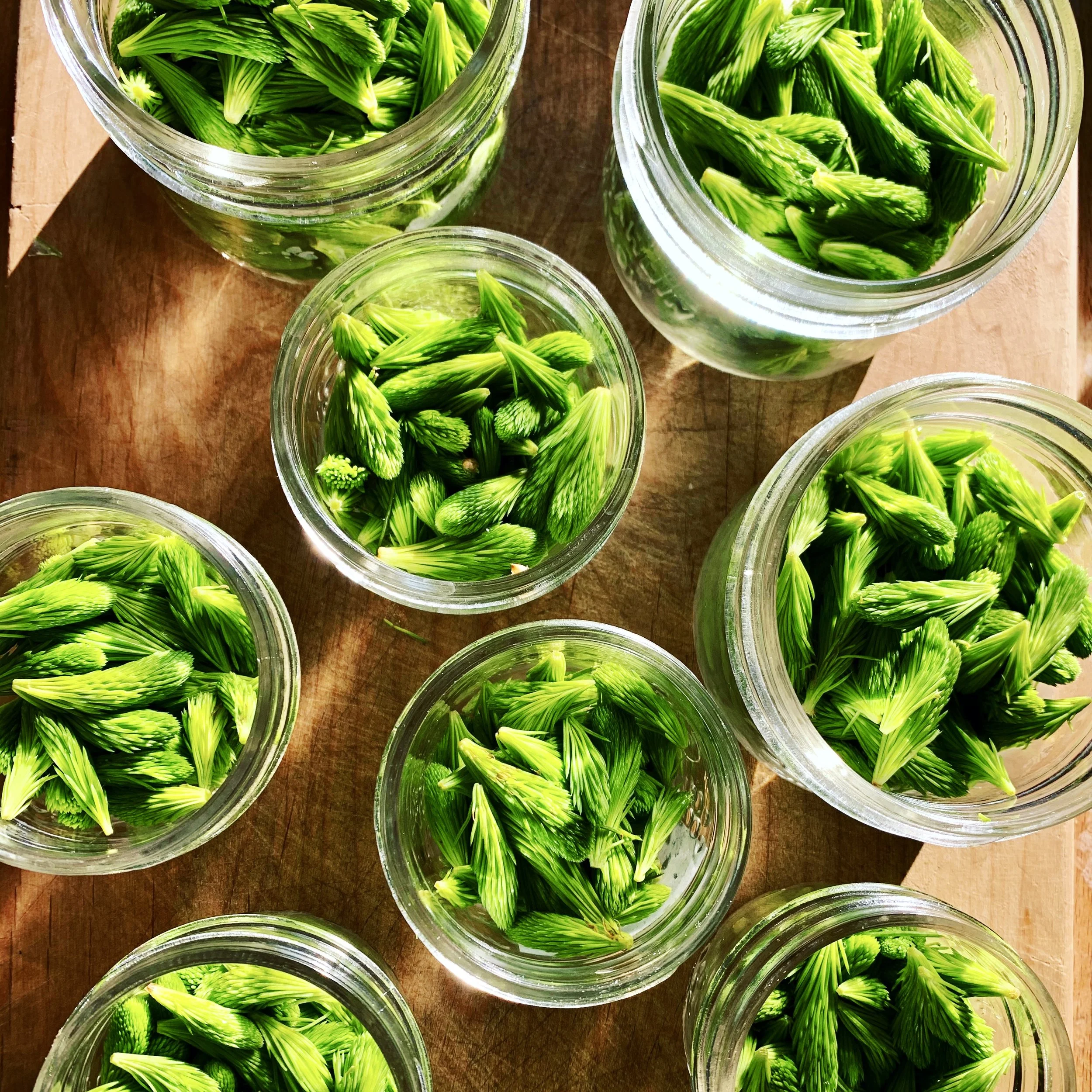 Stella's Eatery Prince Edward County 3.jpg