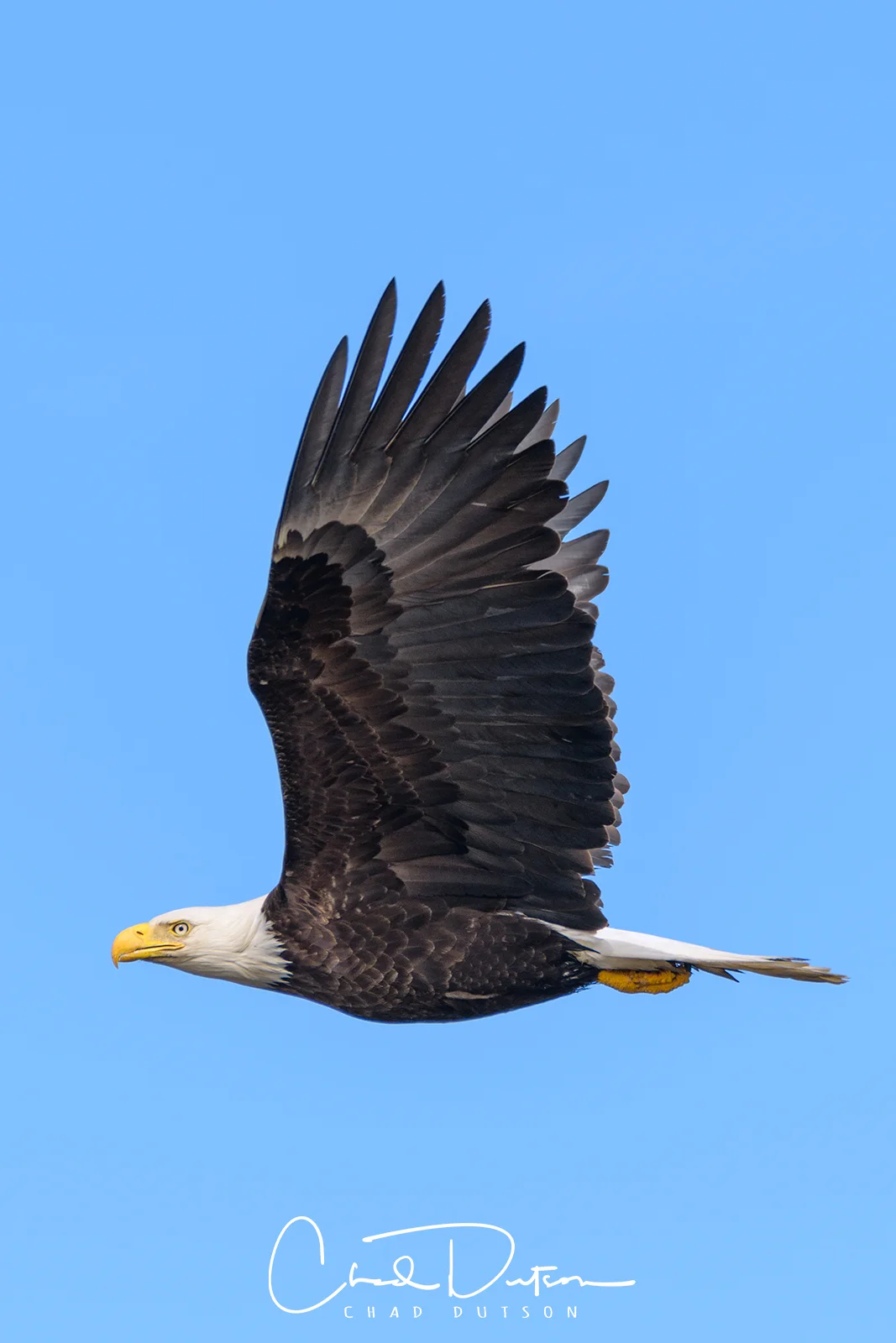 Alaska