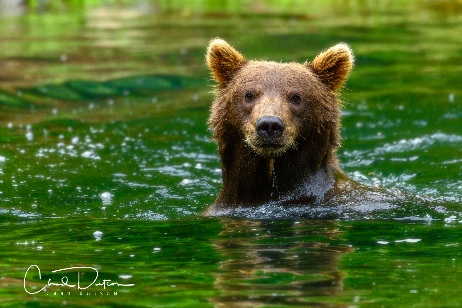 Alaska