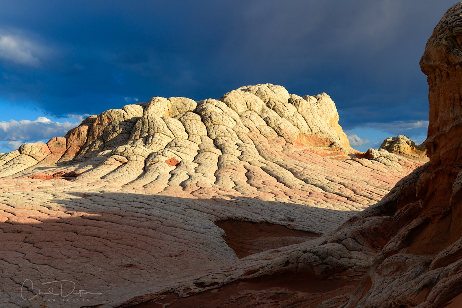Arizona