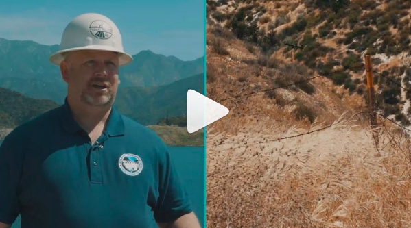   Click to watch video.  
