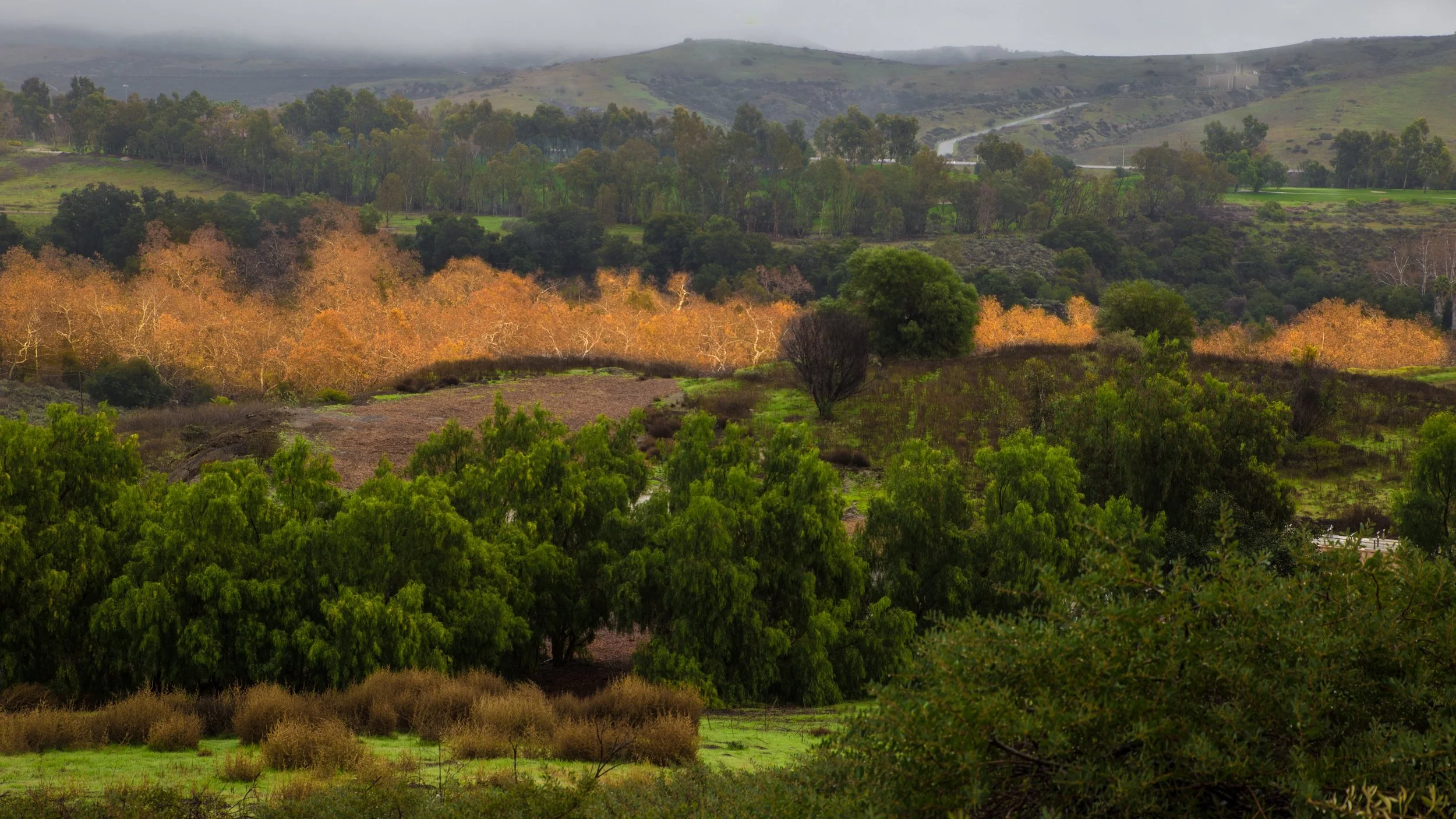 Saddleback Hills