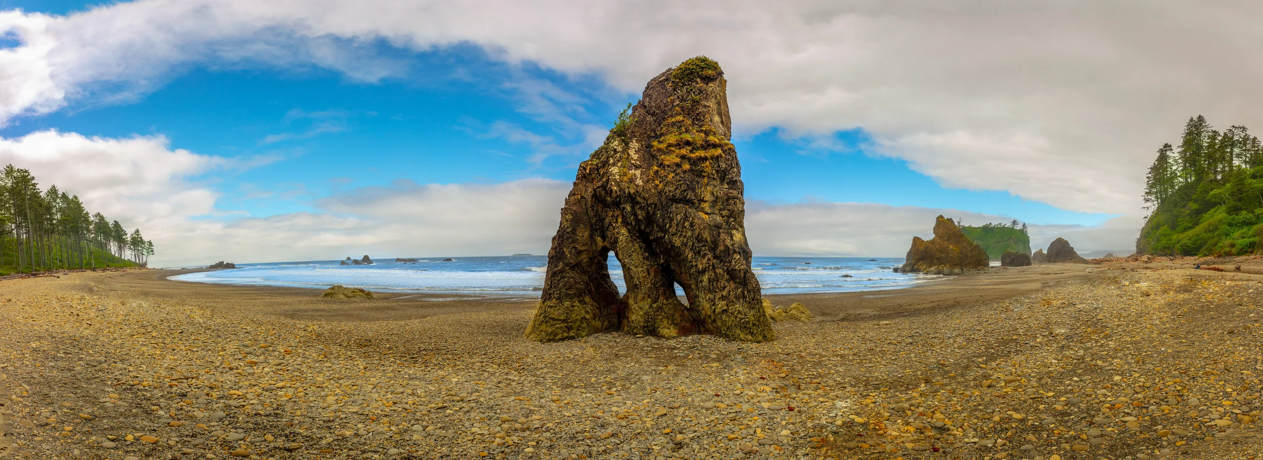 Ruby Beach--3.JPG