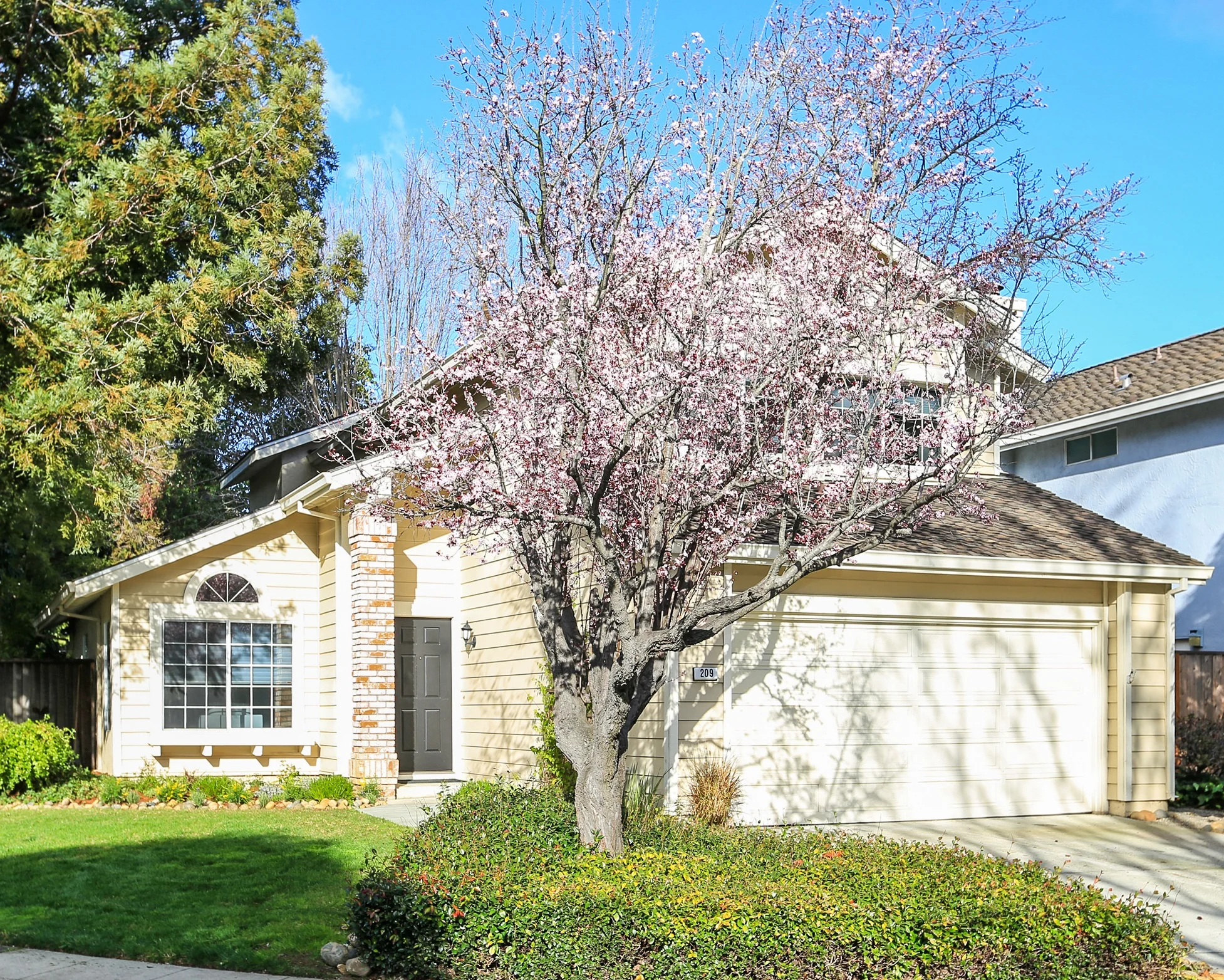 209 SHEFFIELD LANE, REDWOOD CITY