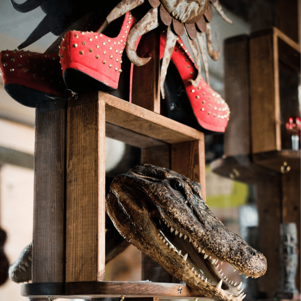 A crocodile head mounted on a display shelf at the entrance to The Pawn Shop with a pair of red high-heeled shoes with gold studs above it.
