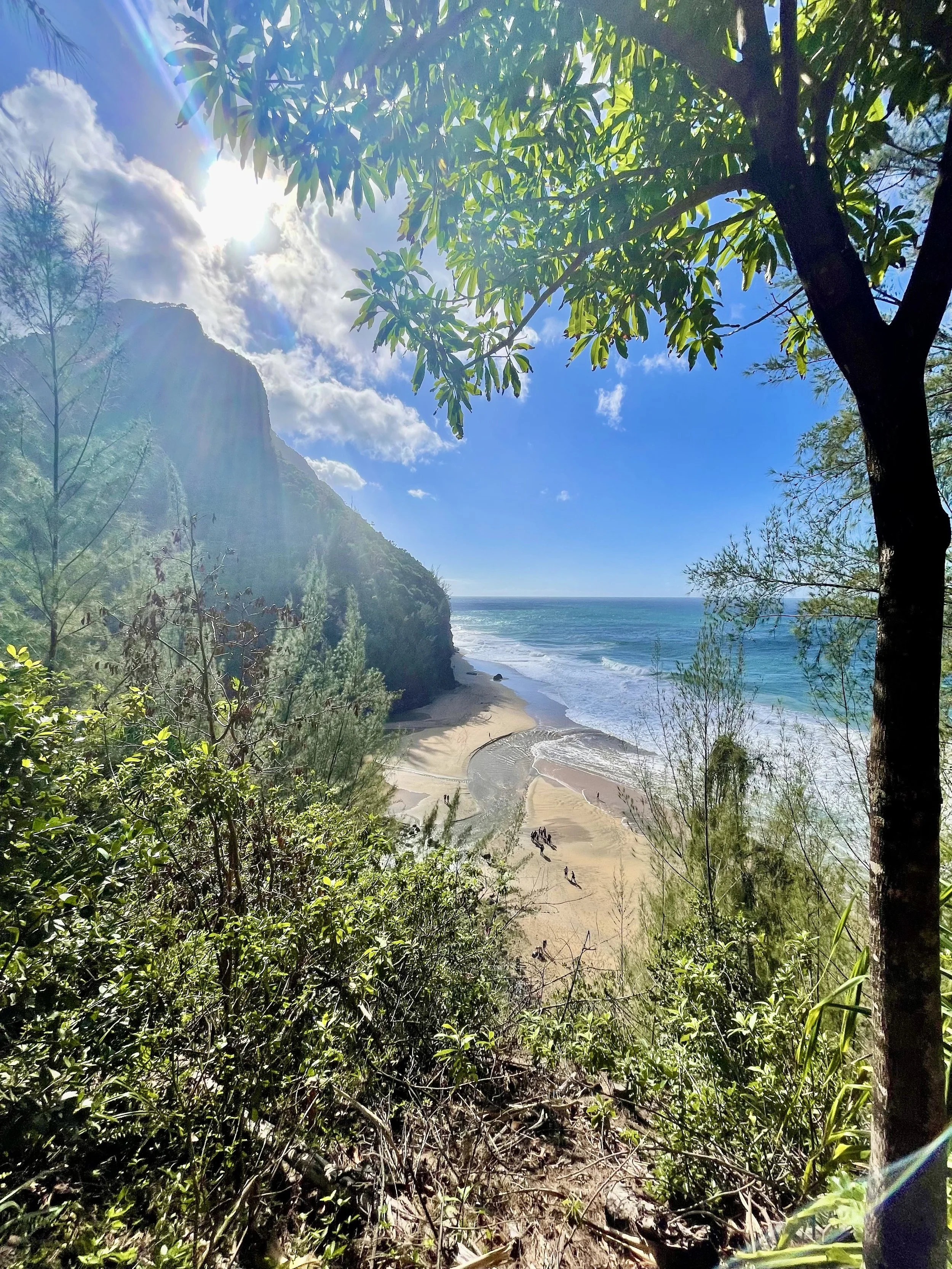 Kauai: Tangled Vines, Craggy Canyons &amp; Poke For Days