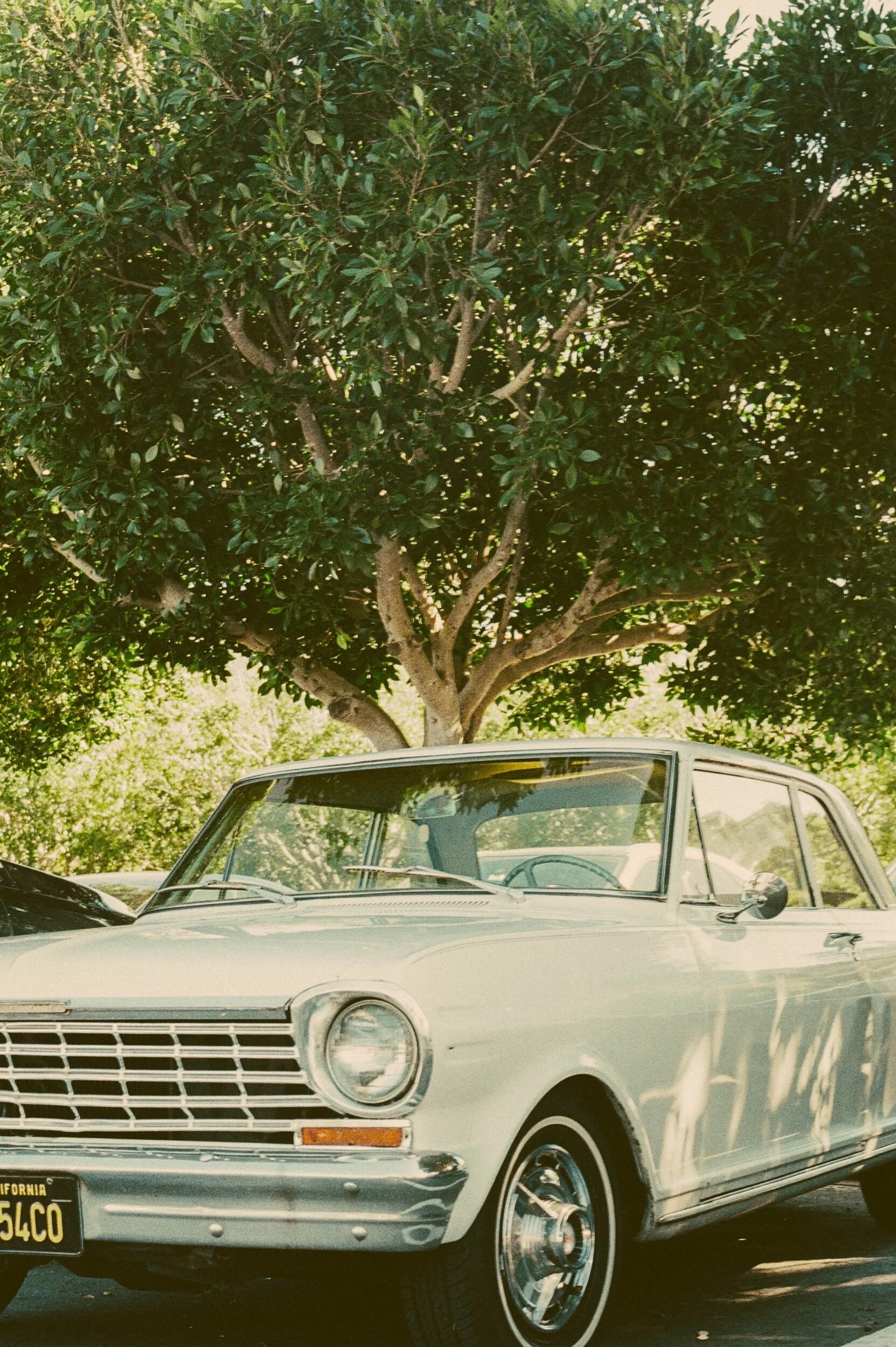 EF6B09A0-2094-4FB8-B258-F0BCDFEF2082