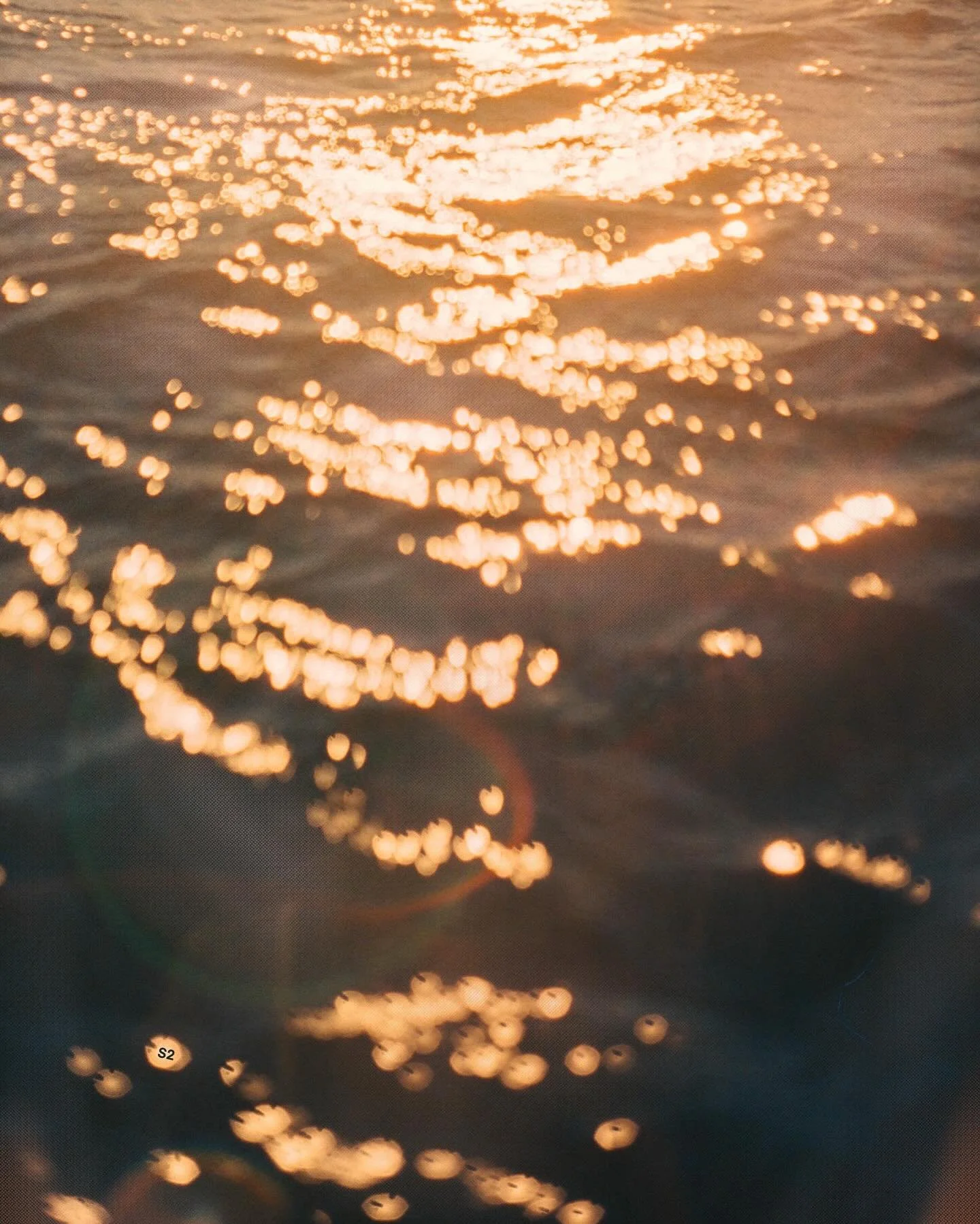 taking my film swimming