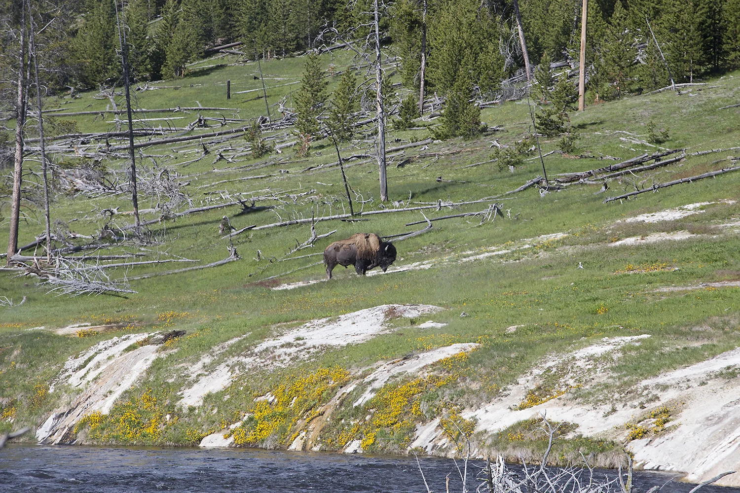Fairy Falls hike, Yellowstone National Park