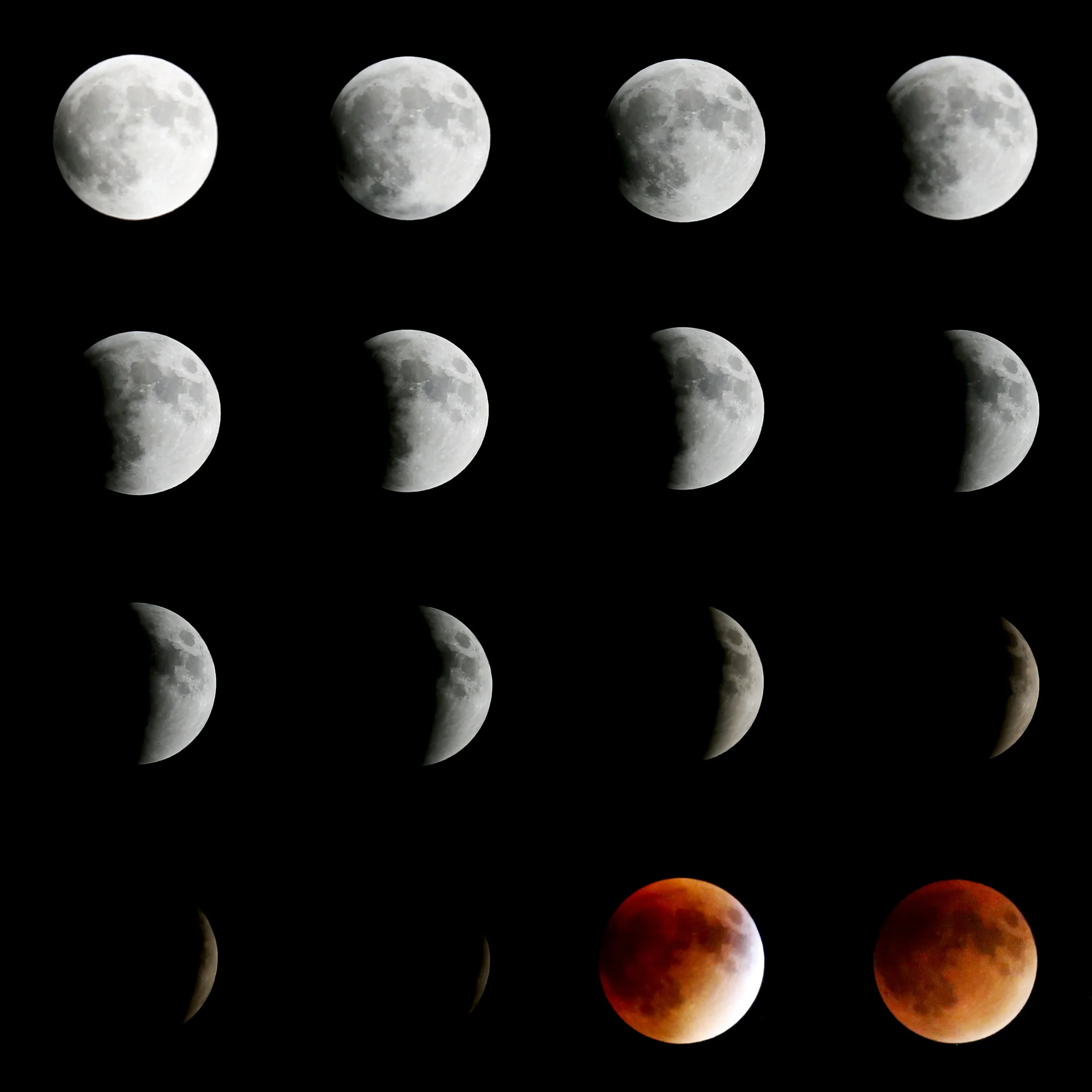 Lunar Eclipse : Fresh Lemons Quilts