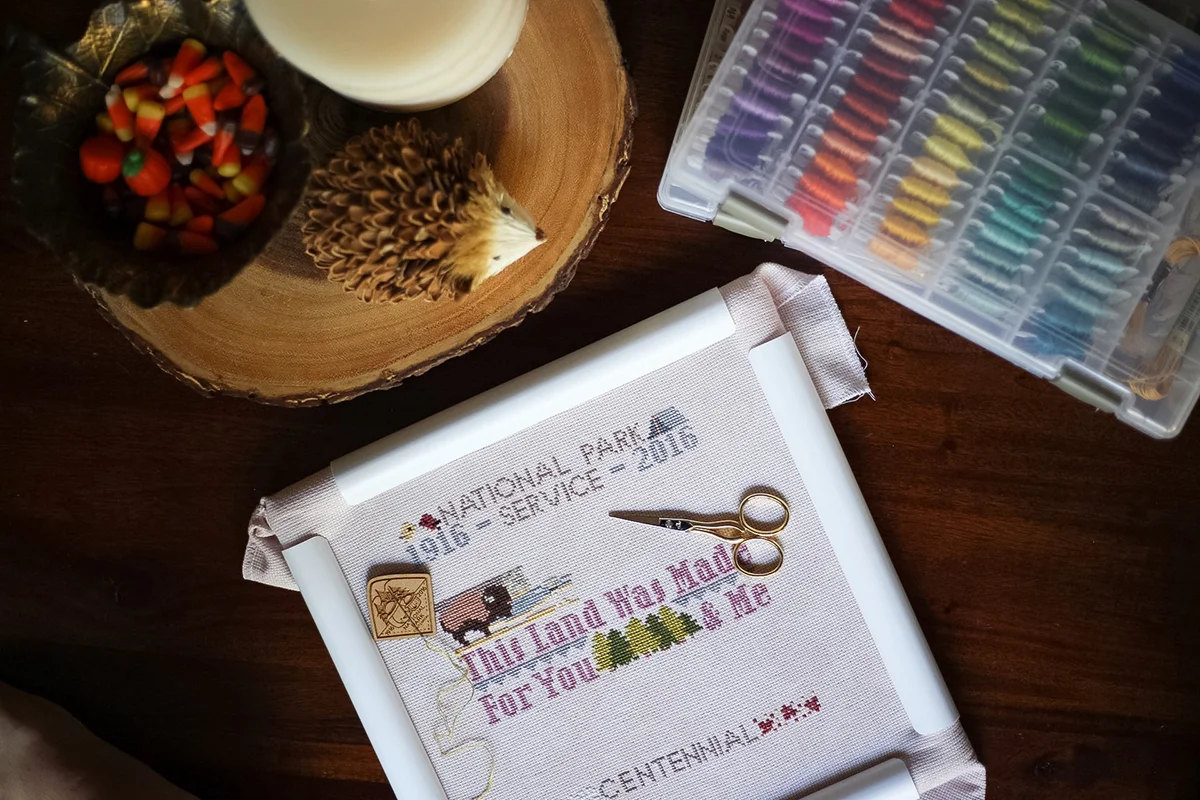 National Parks Birthday Club by The Frosted Pumpkin Stitchery : Fresh Lemons Quilts