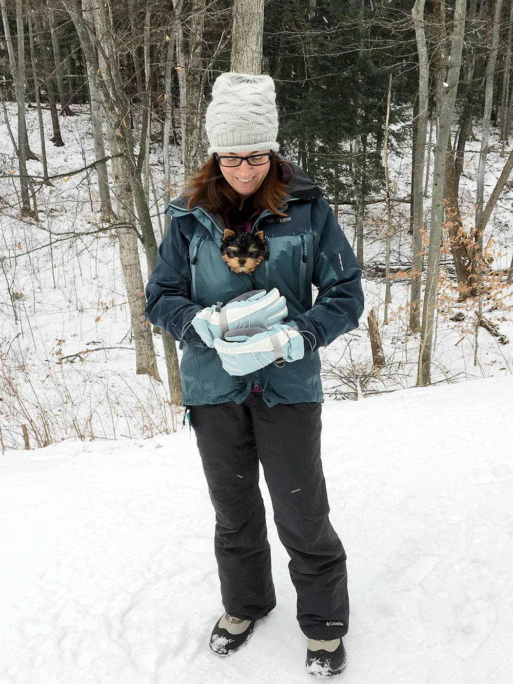 Benzie the Yorkie : Fresh Lemons Quilts