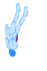 Tonpa_hitstunUpStagger01_rough.gif